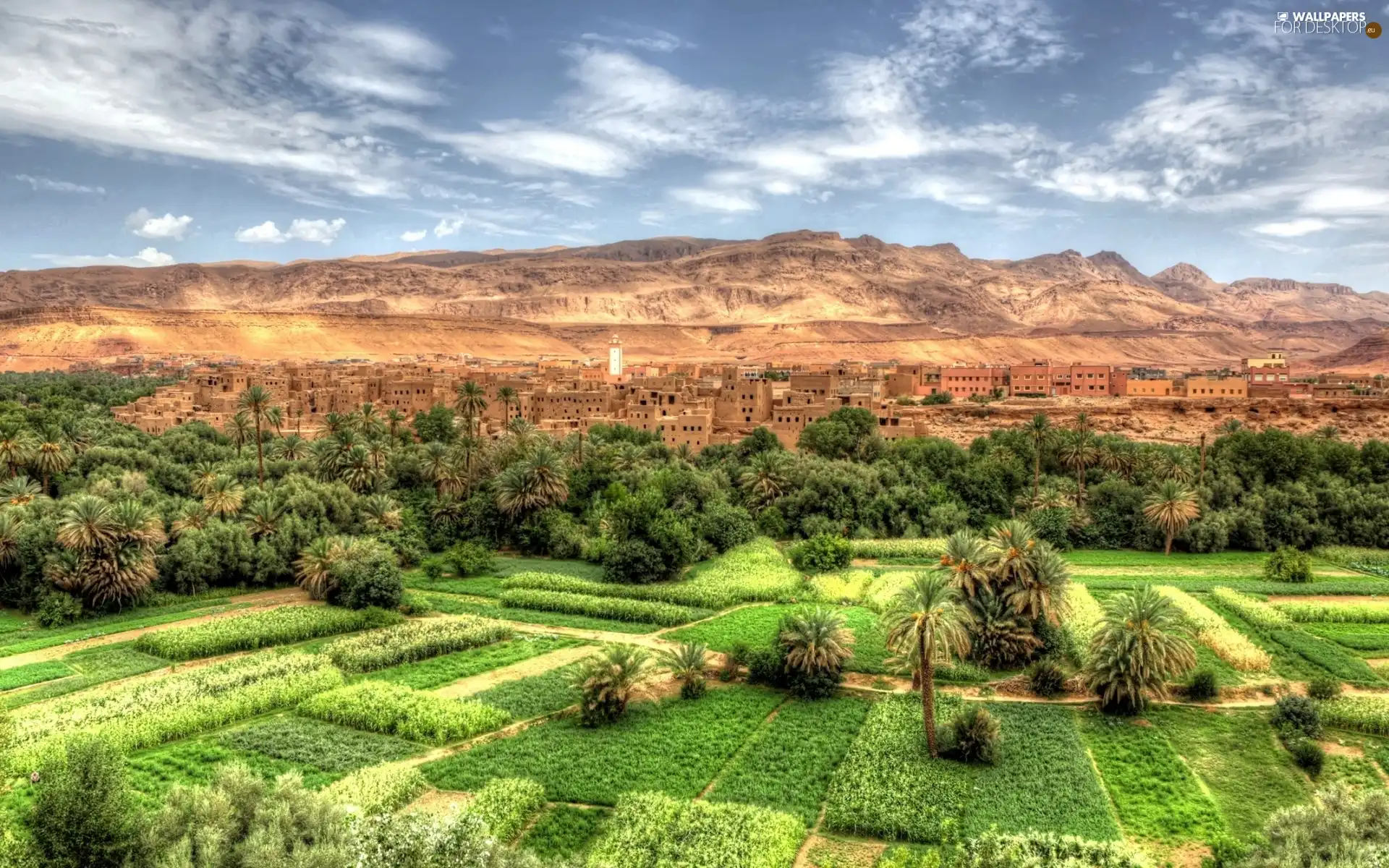 Mountains, crops, Palms, Town