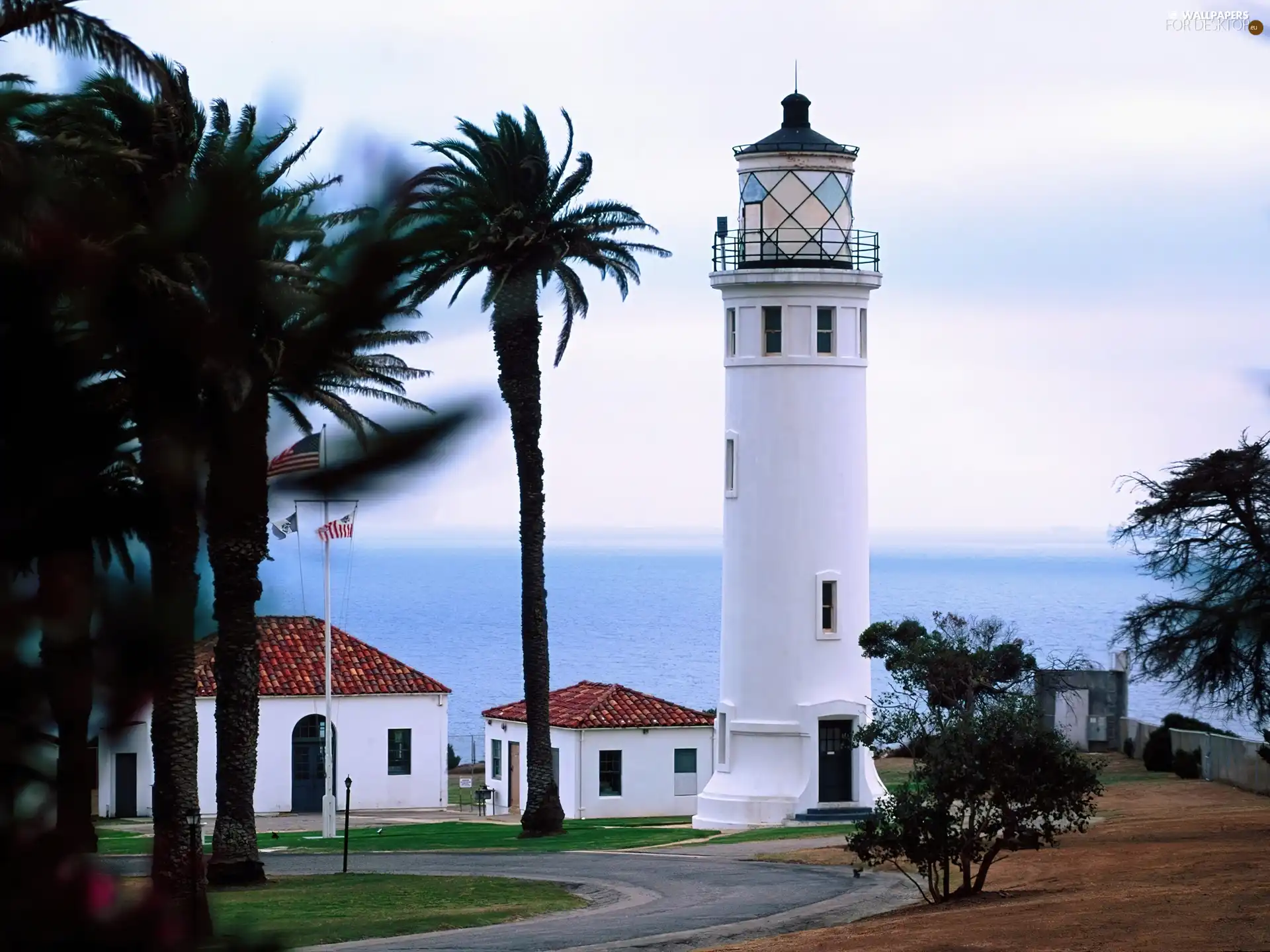 sea, maritime, Palms, Lighthouse