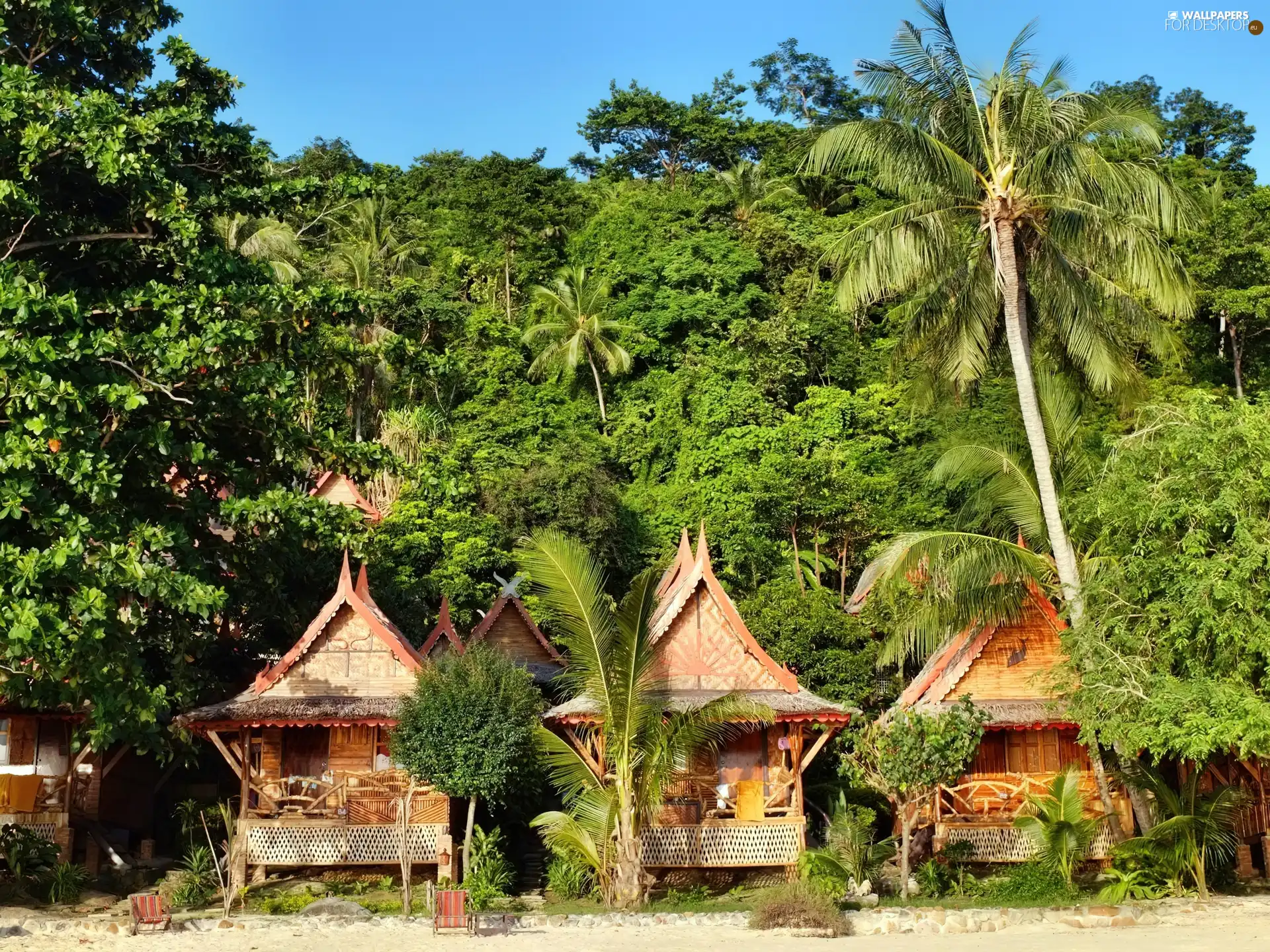 Palms, tropic, an, beach, Houses