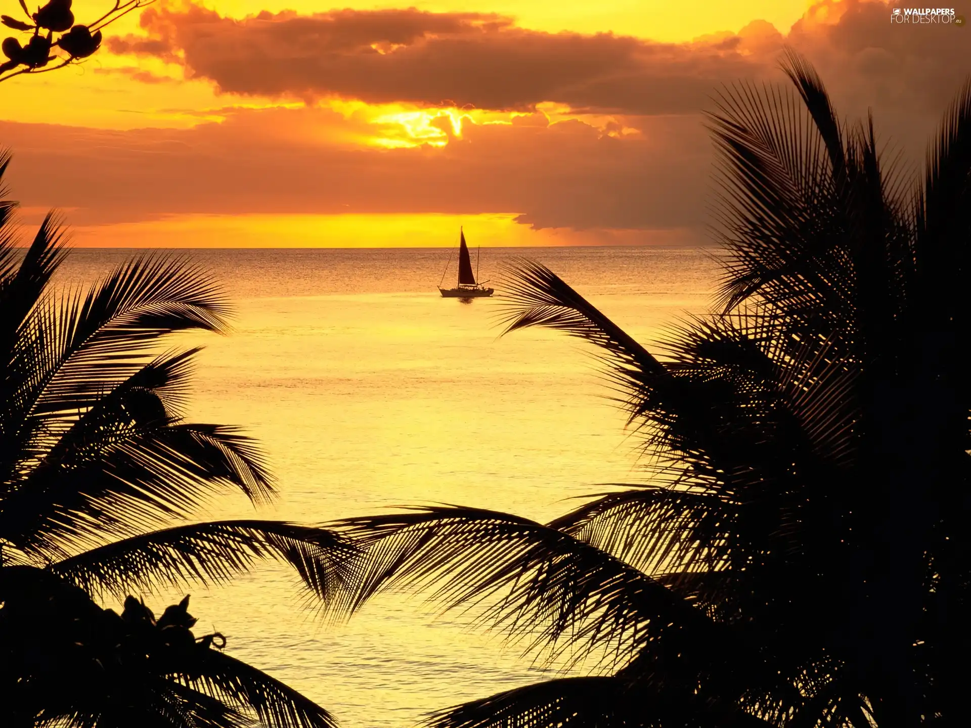 clouds, west, Palms, Yacht, sea, sun