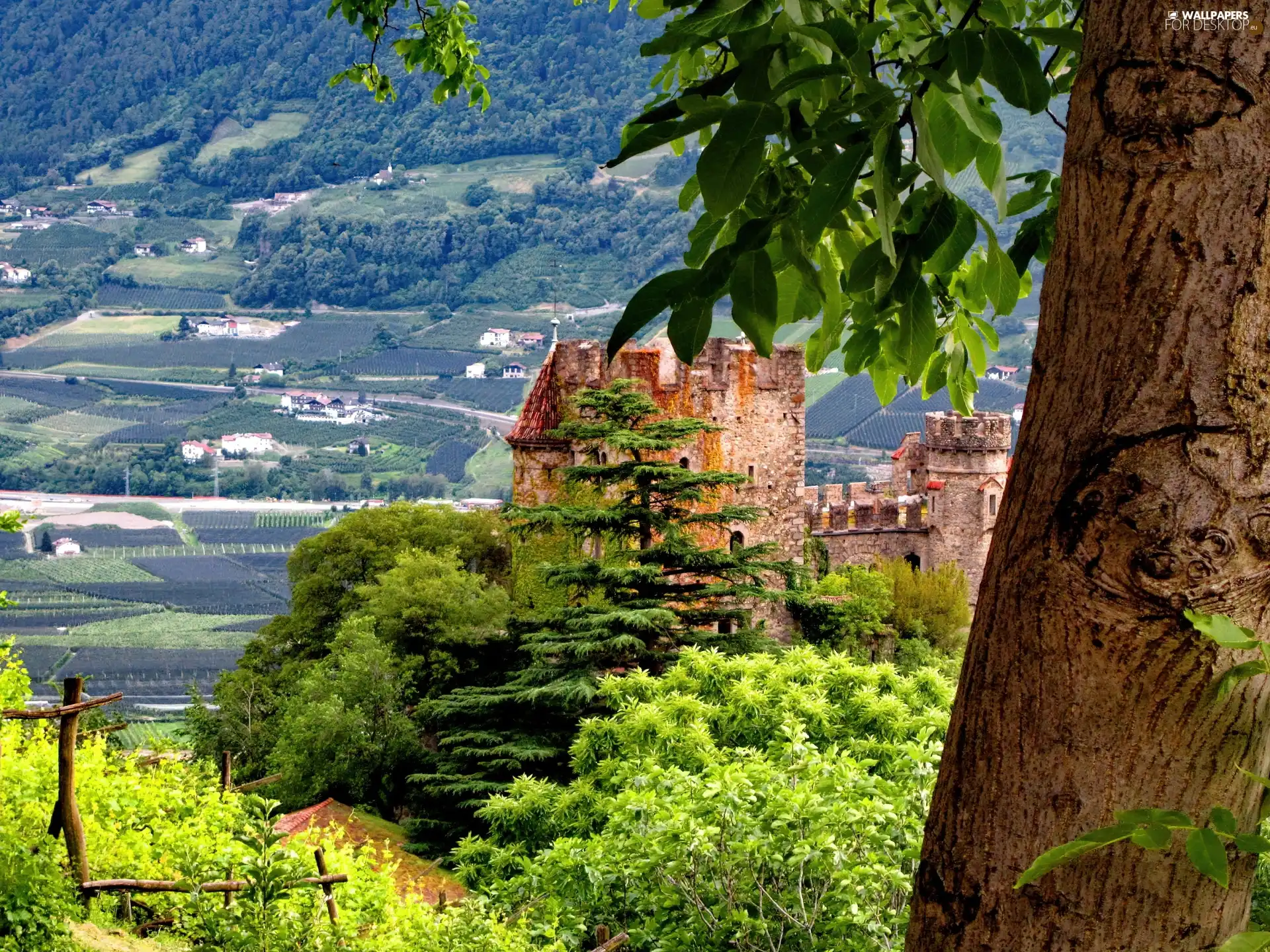 panorama, ruins, Castle