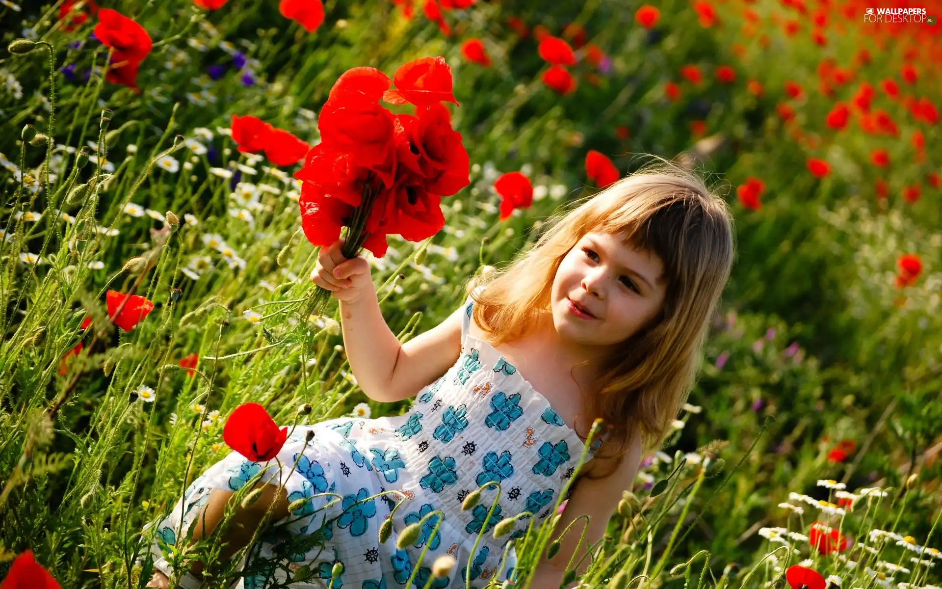 girl, Red, papavers, dress