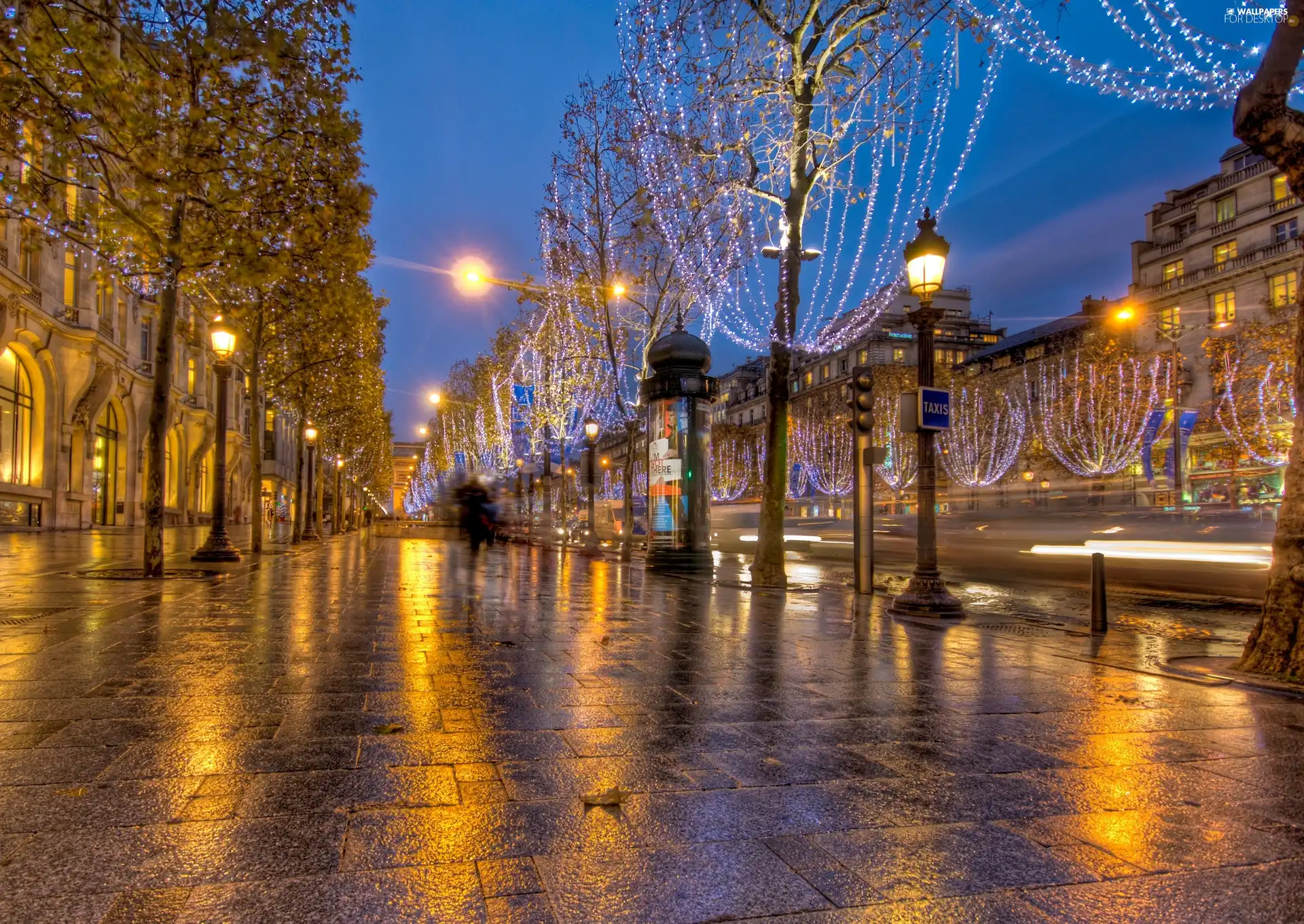 Paris, France, Christmas, decor, Night