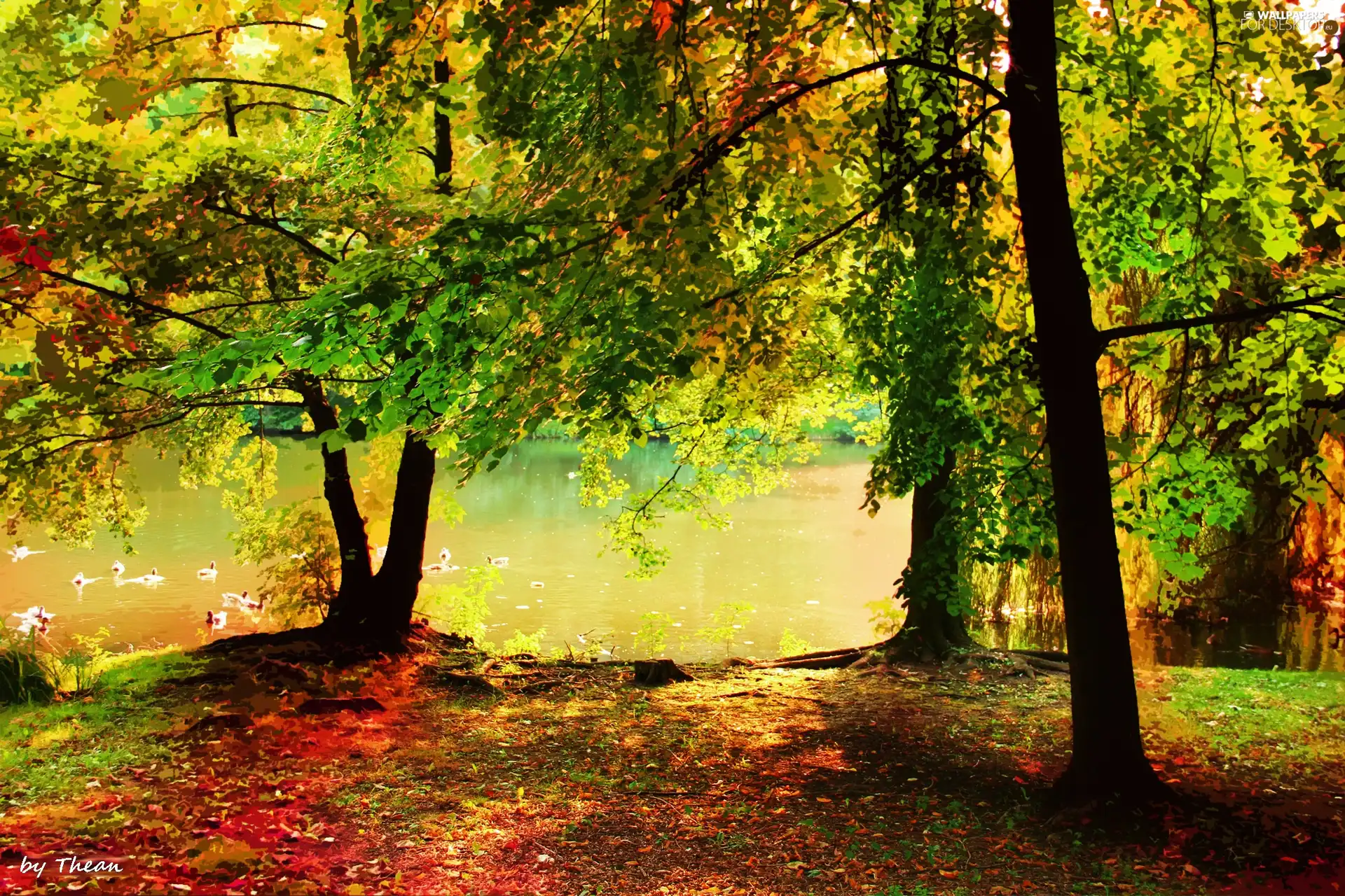 park, Pond - car, viewes, ##, trees