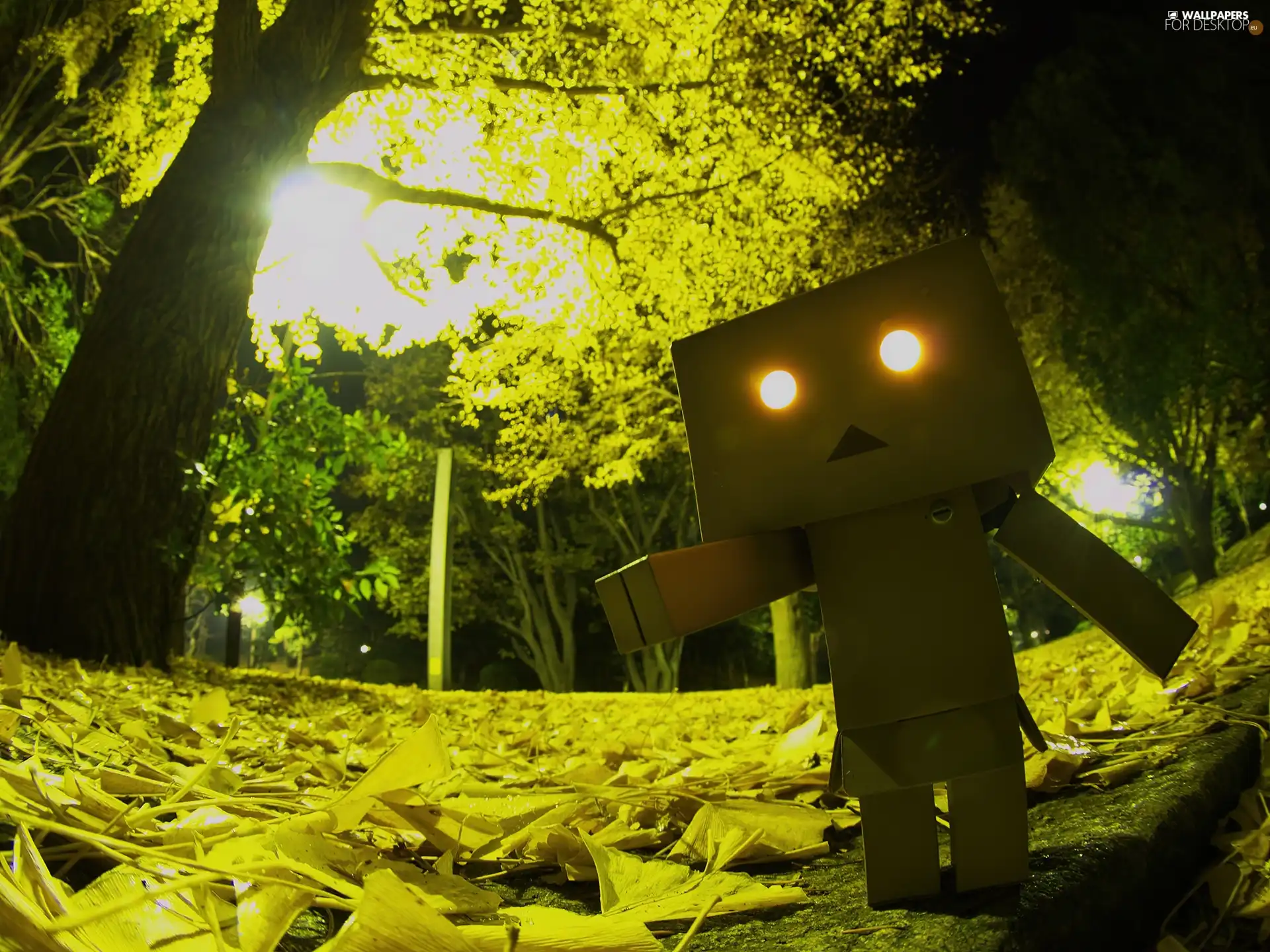 cardboard, Danbo, Park, alien