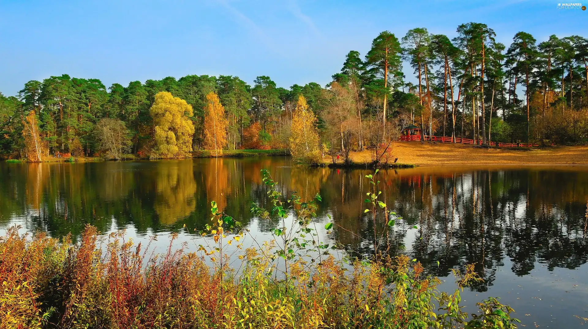 Park, autumn, lake