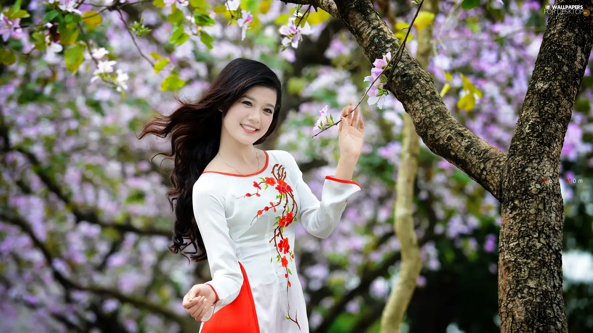 Park, Beauty, trees, viewes, flourishing, Japanese girl