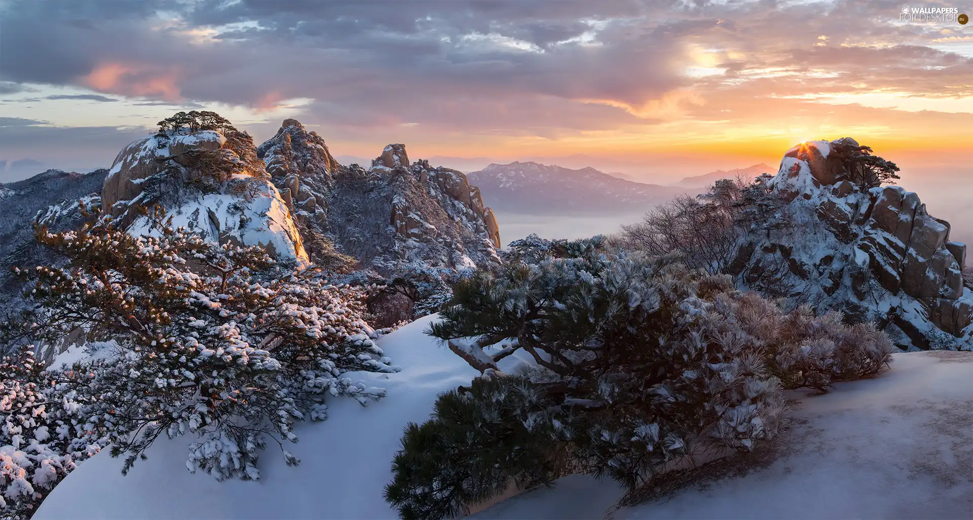 Fog, VEGETATION, Sunrise, rocks, Bukhansan National Park, clouds, viewes, winter, South Korea, trees, Mountain Dobongsan, Mountains