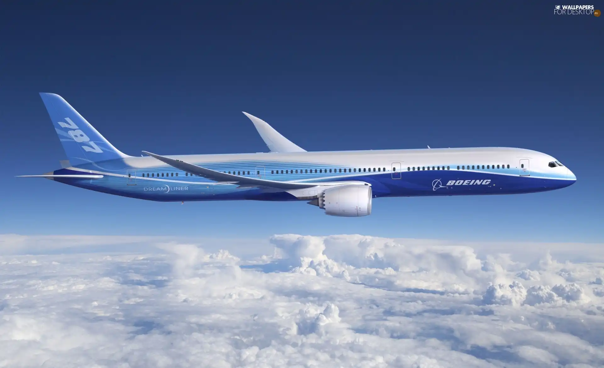 Boeing 787, plane, passenger