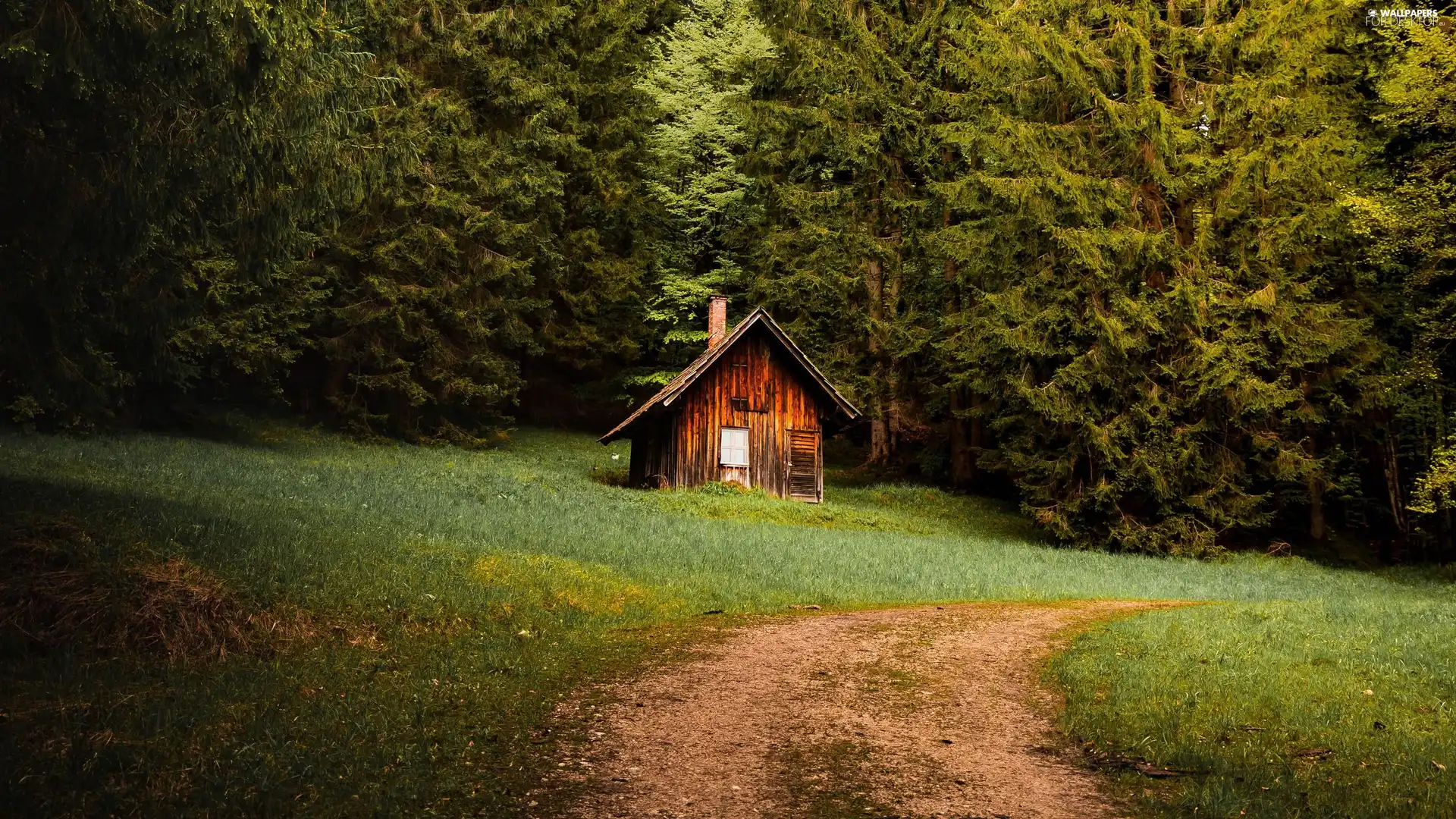 viewes, Path, forest, trees, house