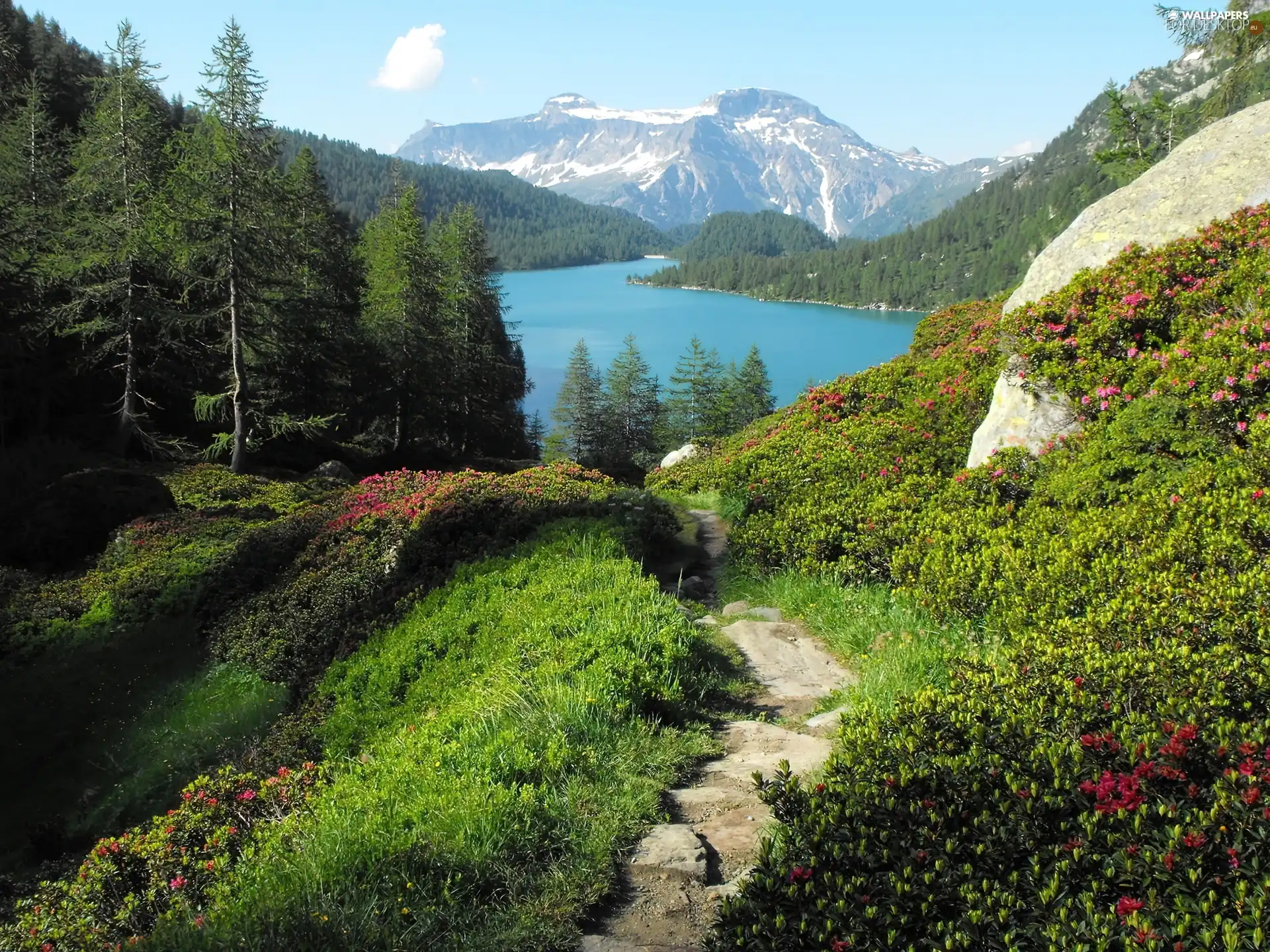 Path, Mountains, lake