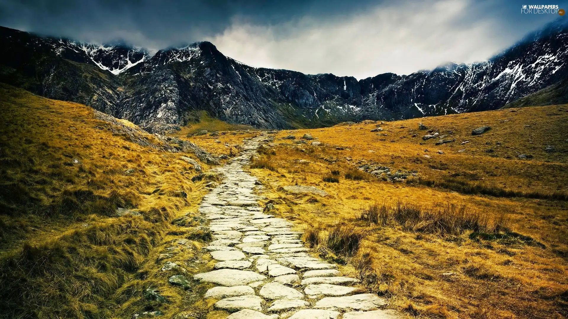 Path, Mountains, Meadow