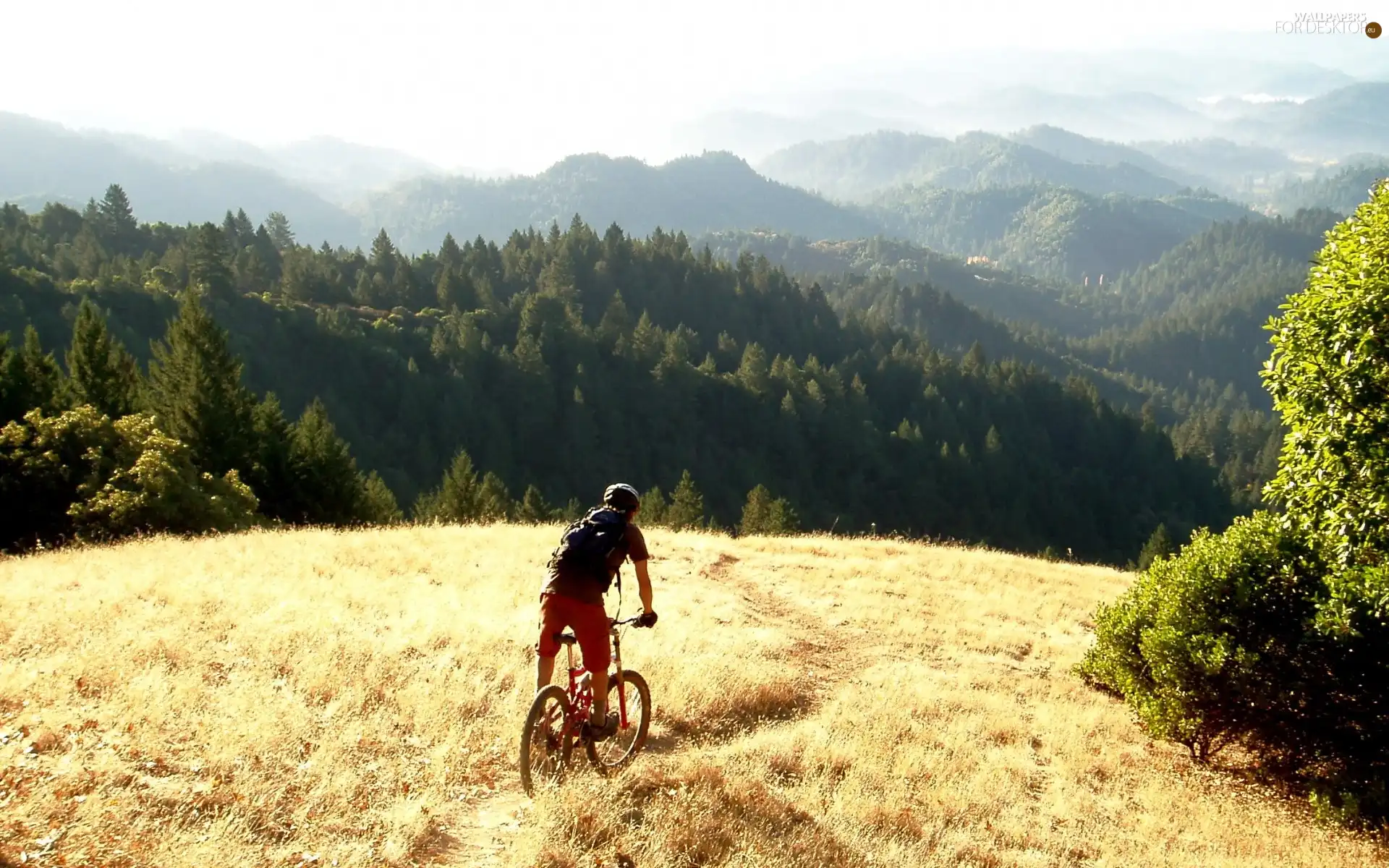 woods, Mountains, car in the meadow, Path, cyclist