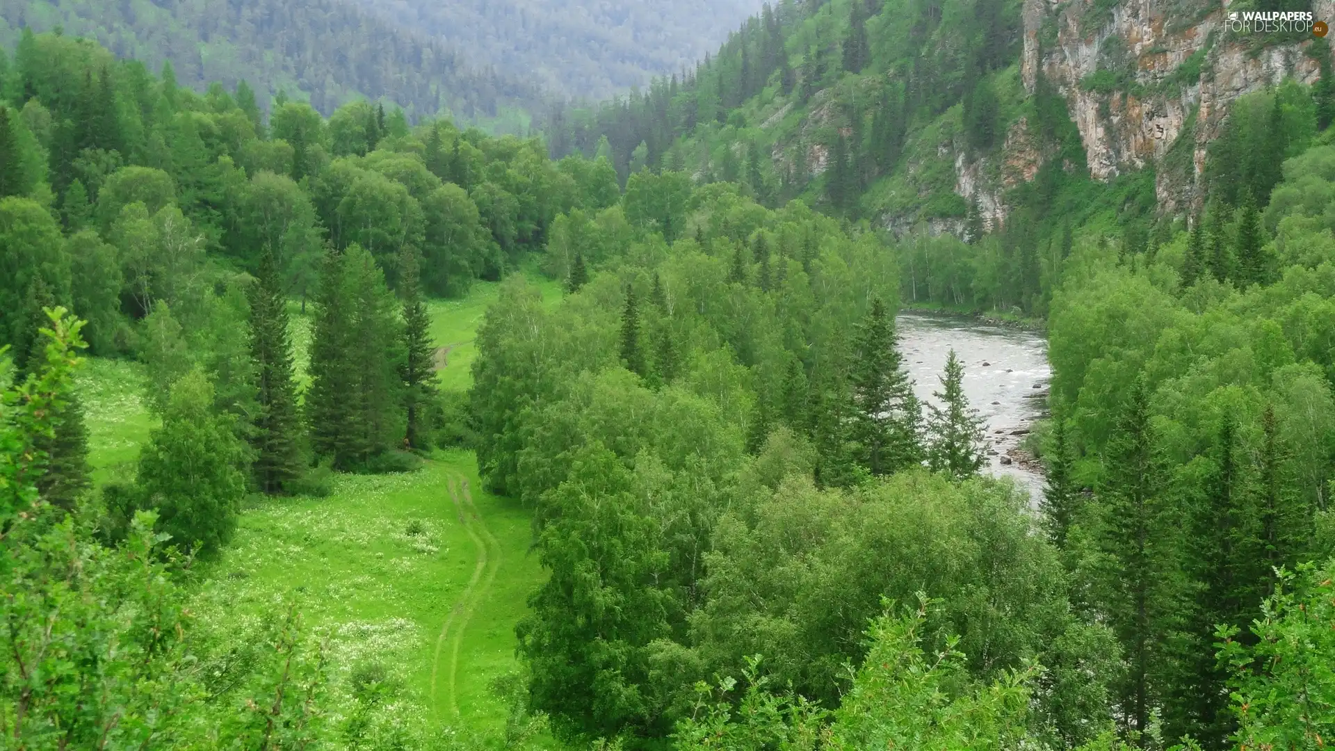 Mountains, River, Path, woods