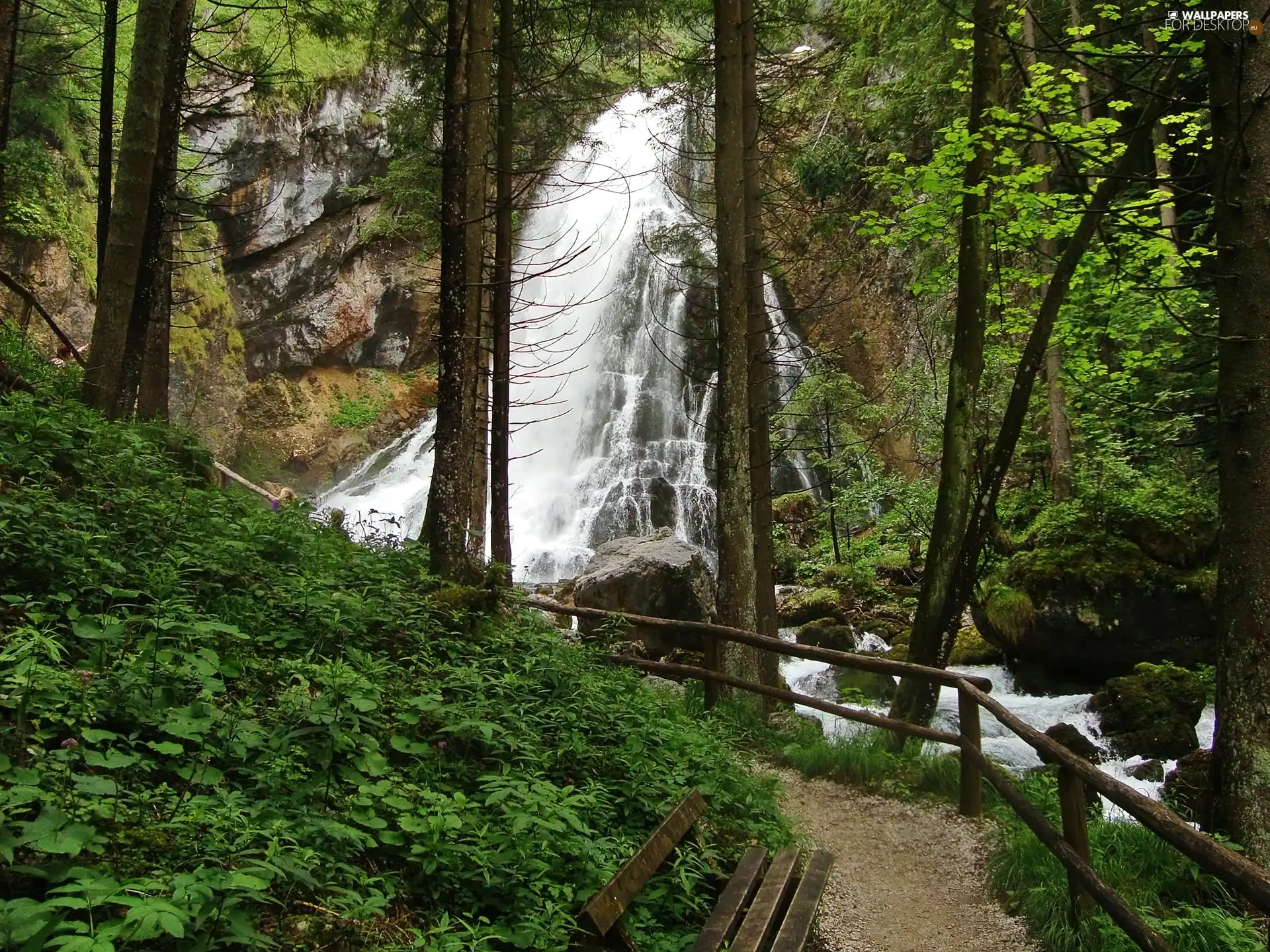 Path, forest, waterfall