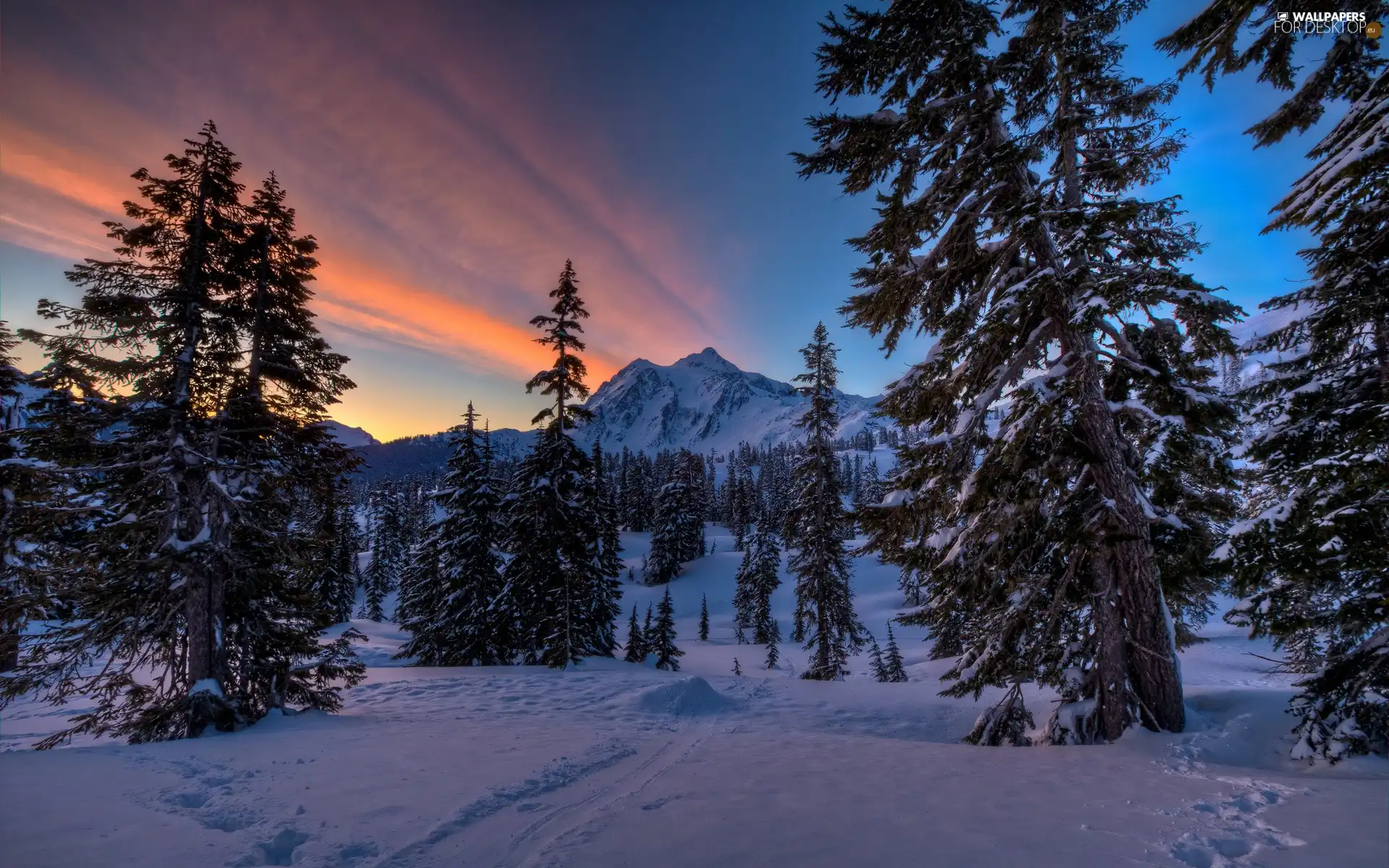 Path, winter, woods, clouds, Mountains