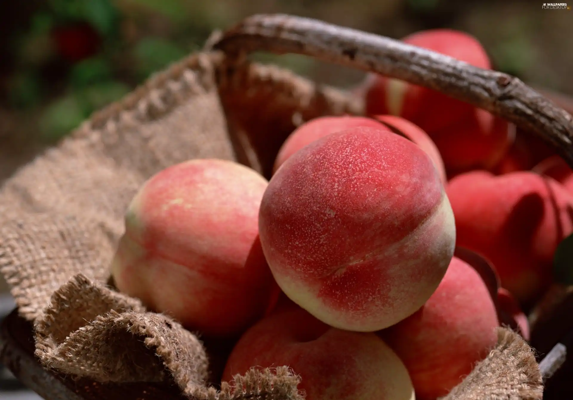 peaches, basket, robust