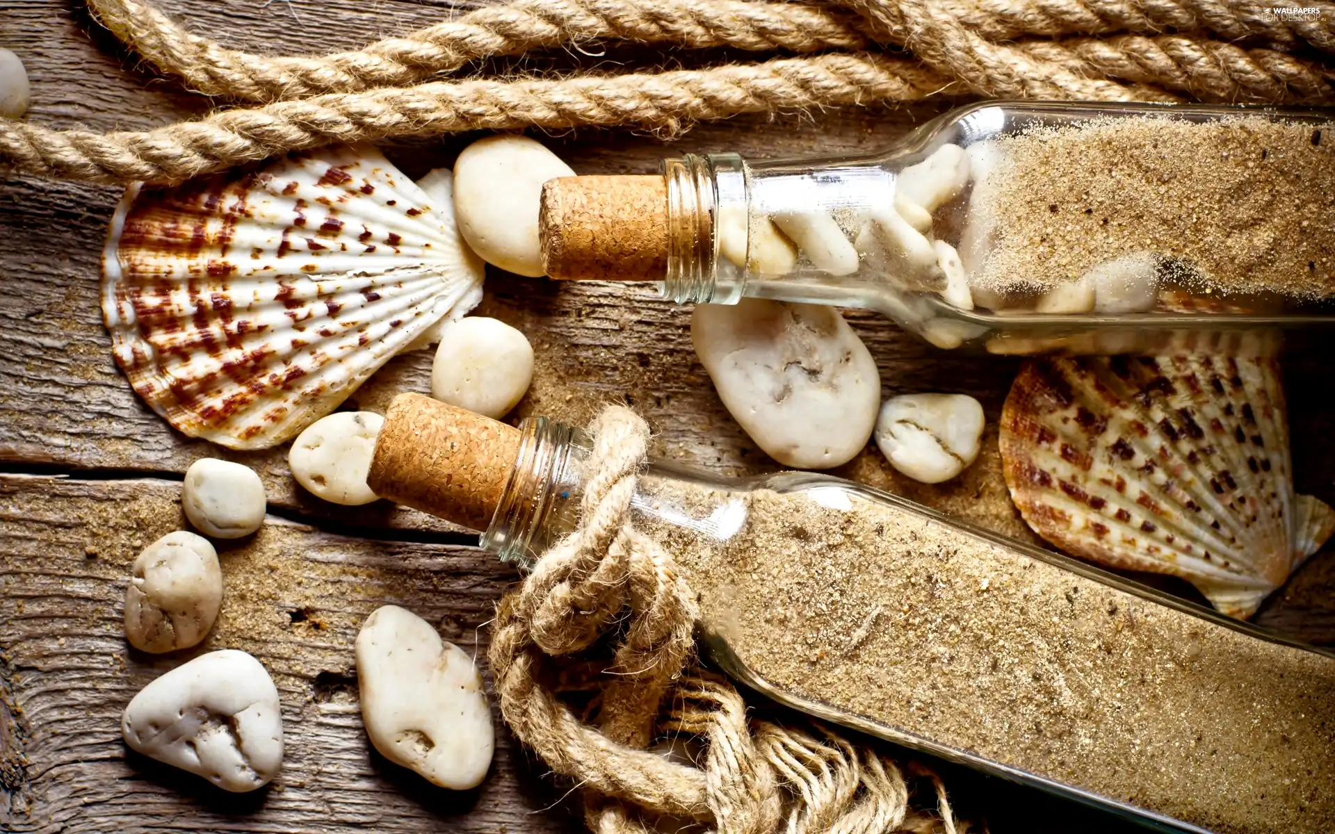 decoration, Shells, Pebble, Bottles