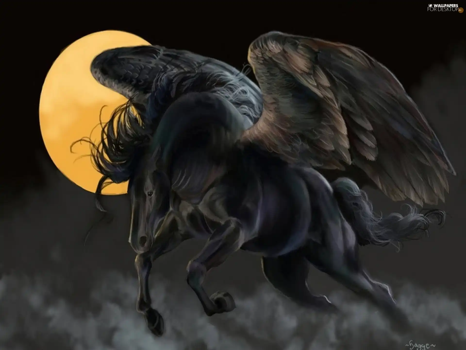 Black, Pegasus