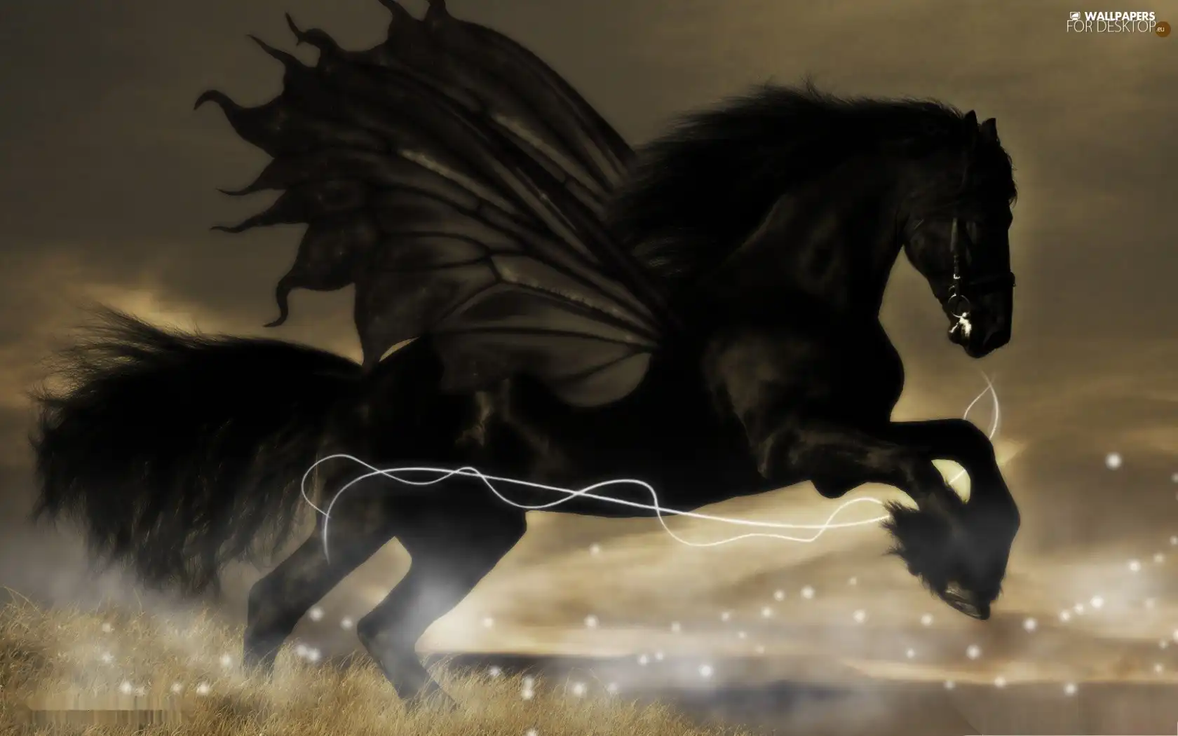 Black, Pegasus
