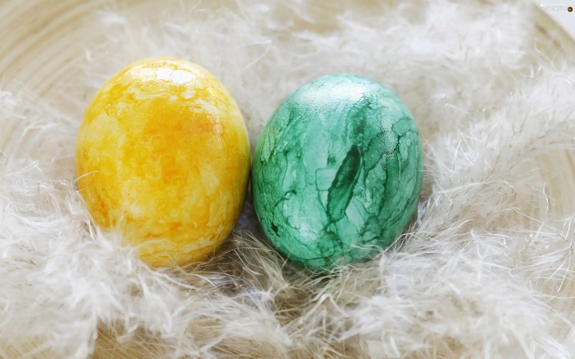 pen, Easter, eggs, White, Two