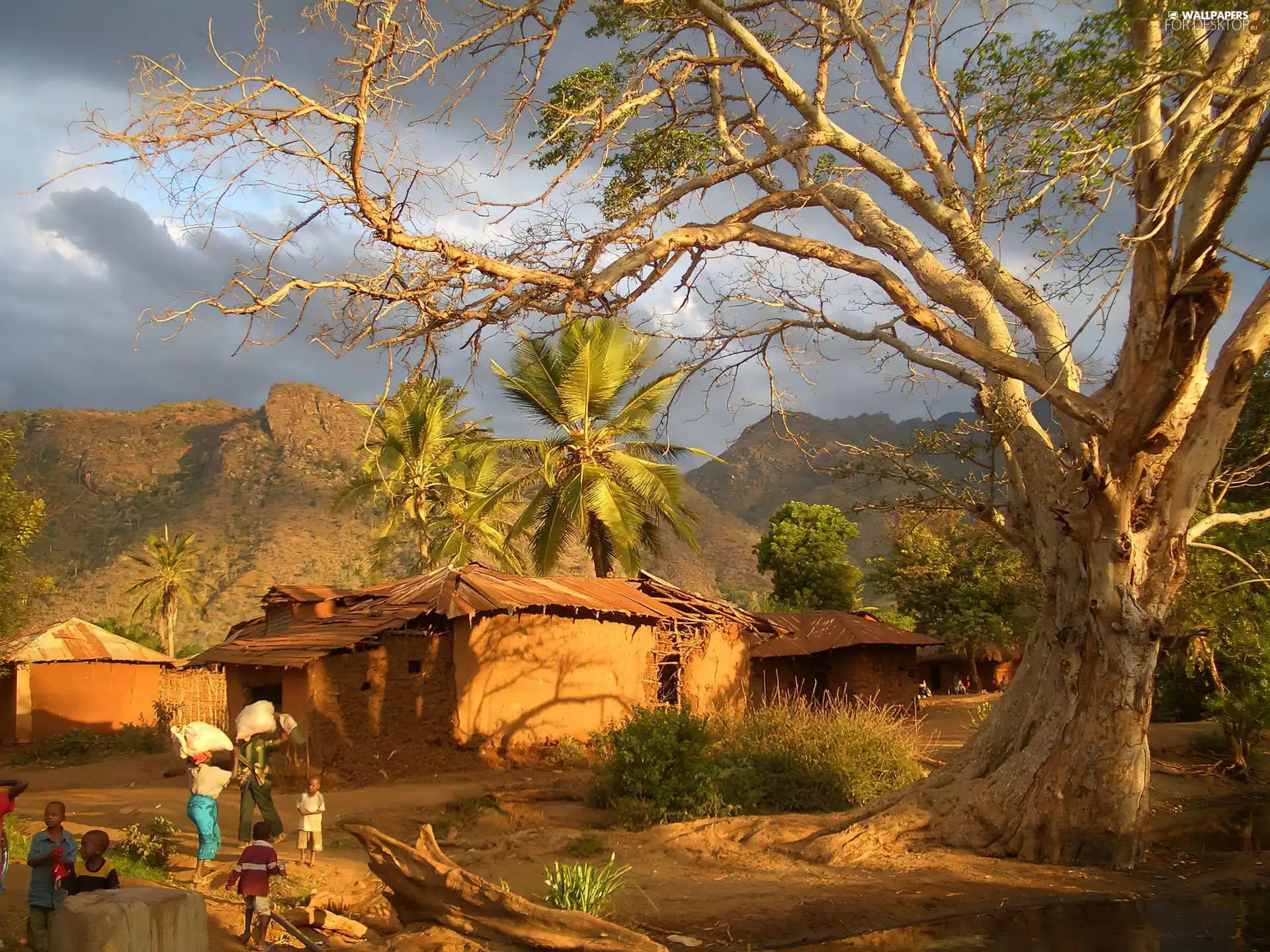 People, Tanzania, village, trees, Mountains
