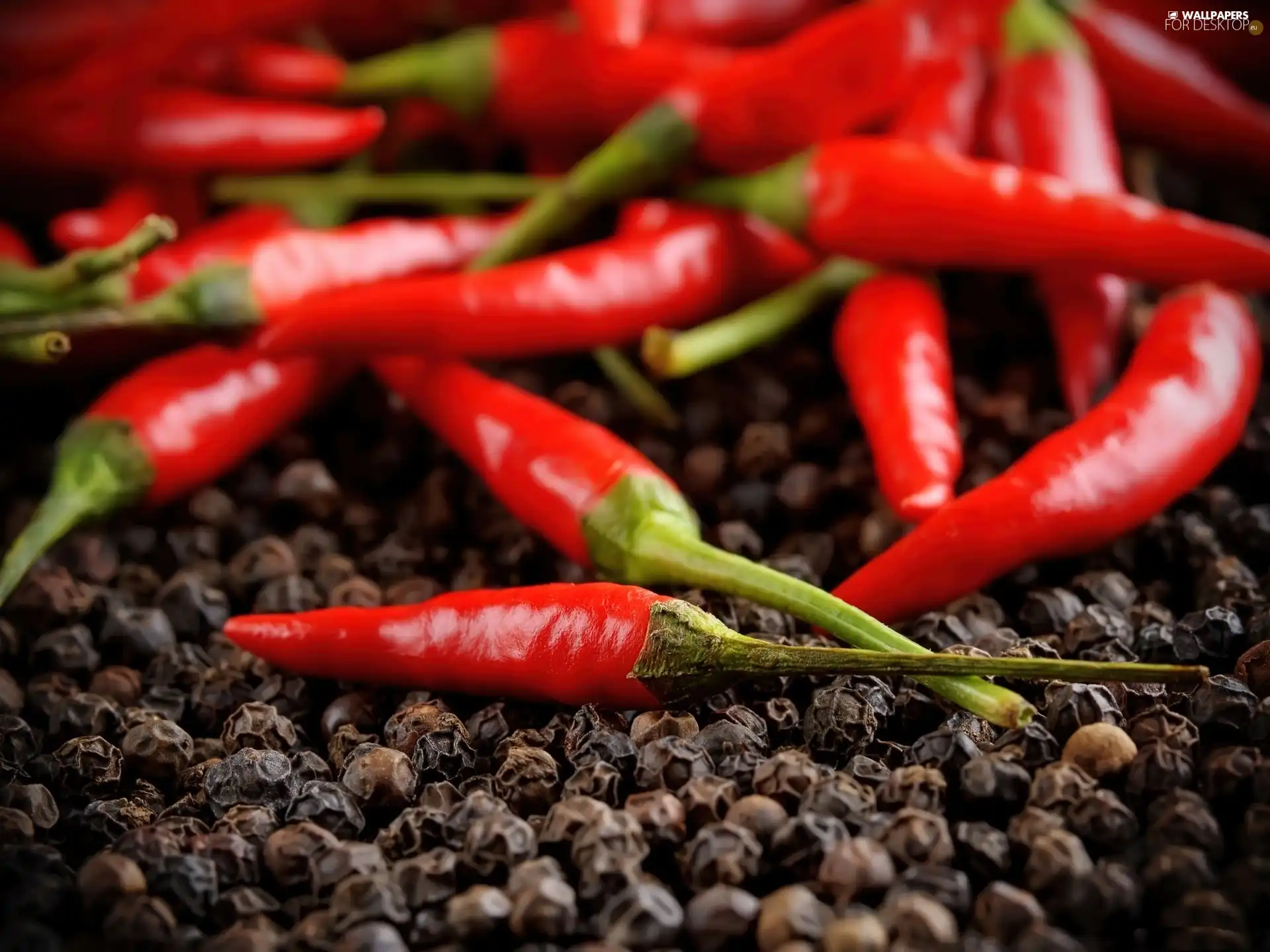 Hot, Chilli, pepper, pepper