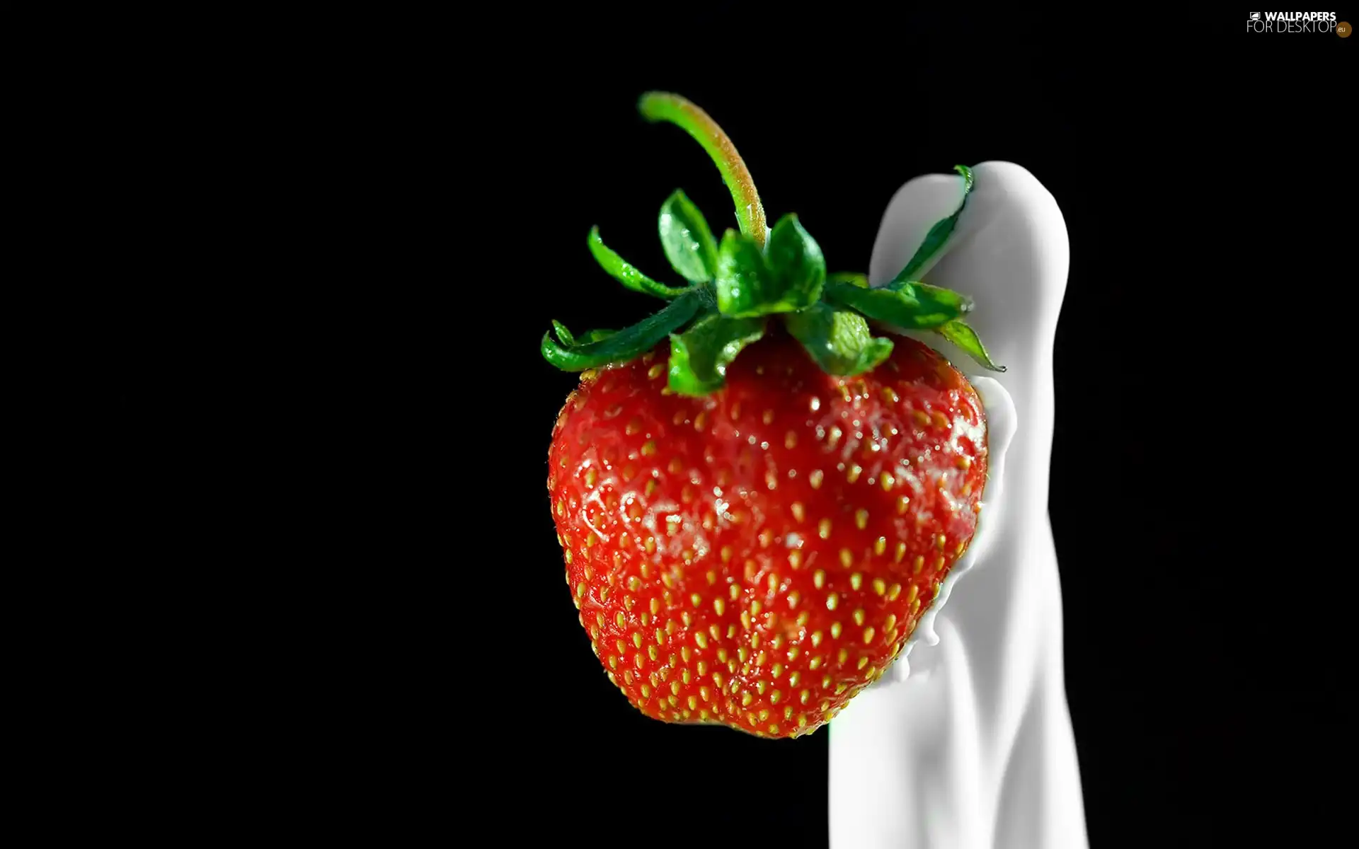 red hot, Green, petiole, Strawberry