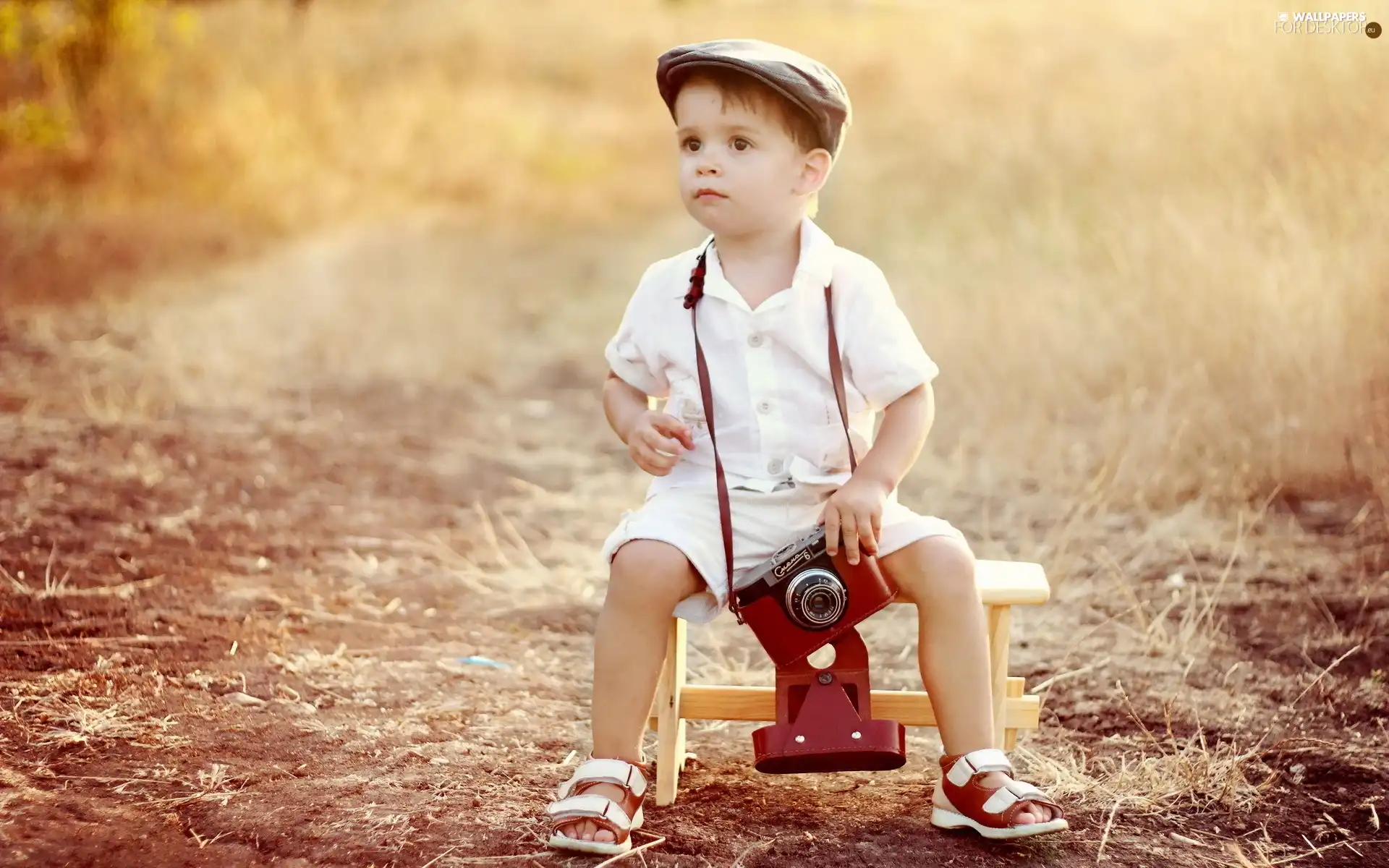 boy, Camera, photographic, Hat