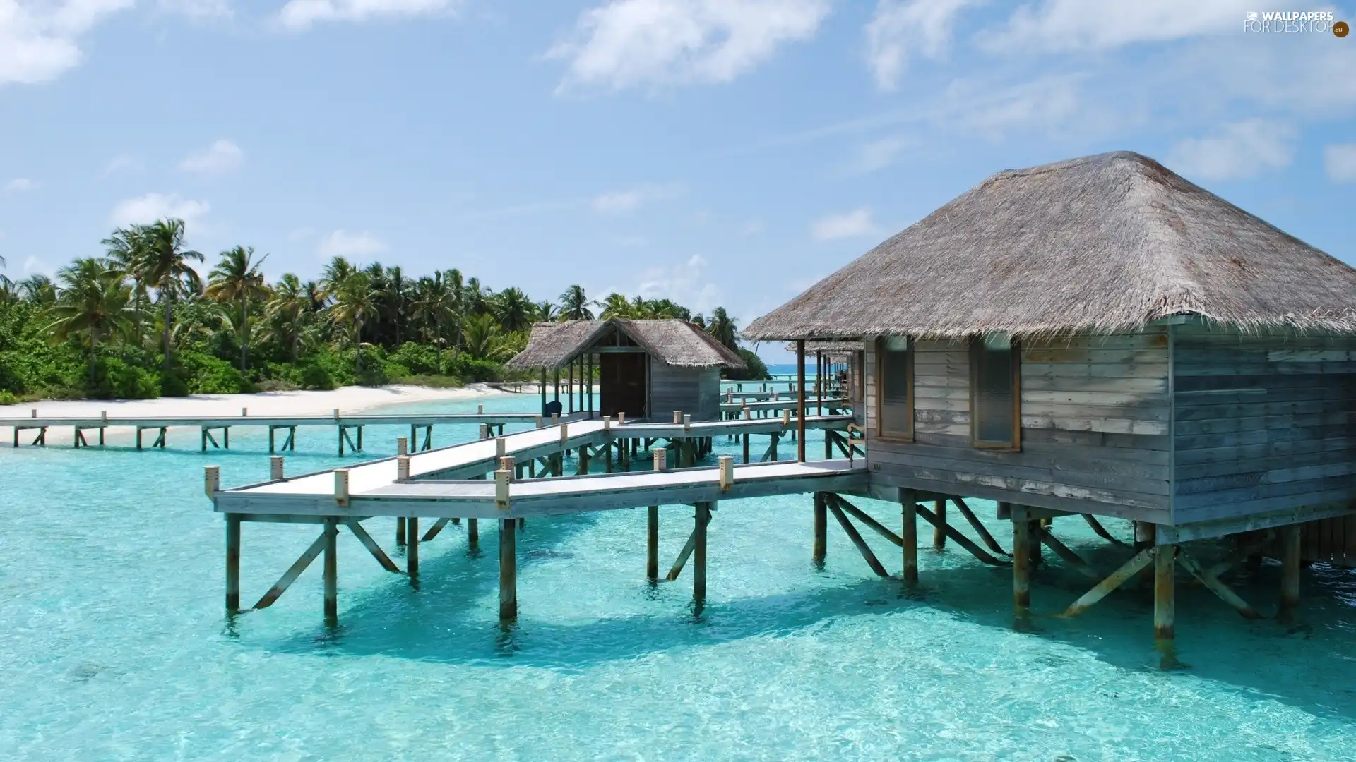 pier, Palms, Beaches, Houses, sea