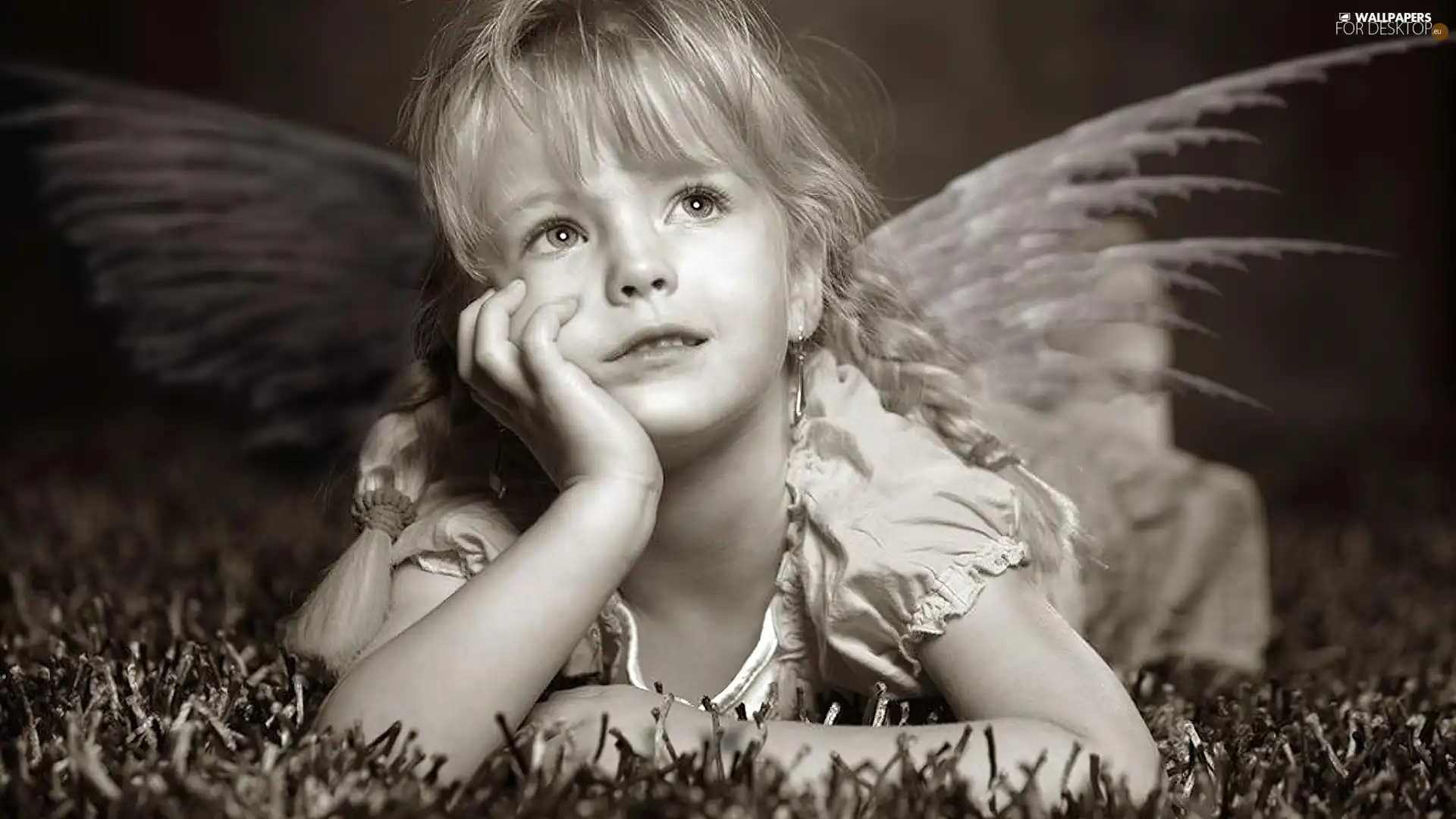 pigtail, girl, wings