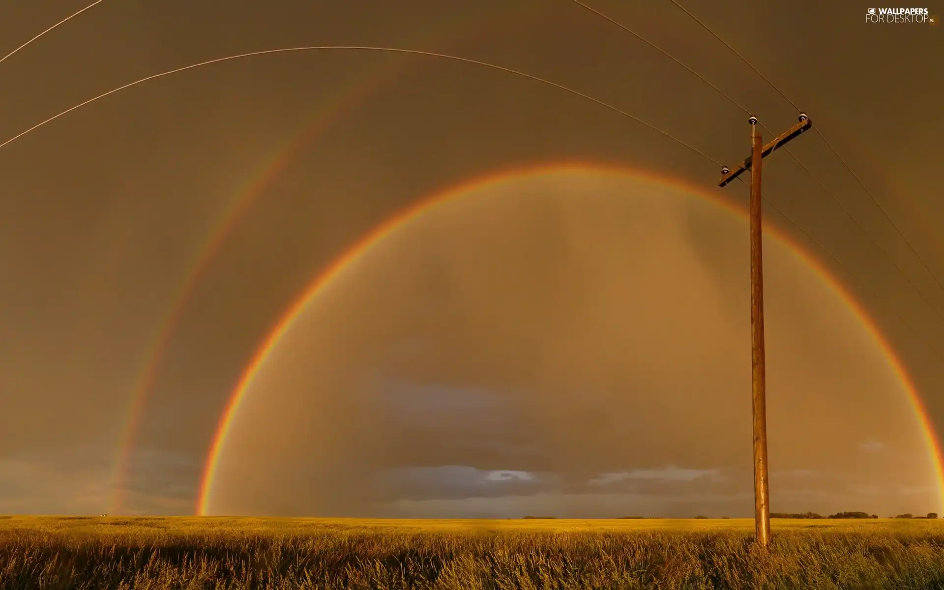 Great Rainbows, Field, pile