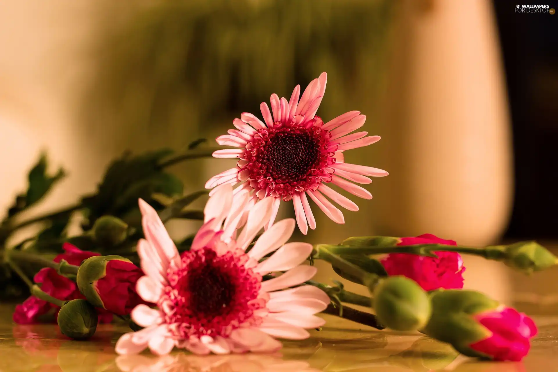 pitcher, bouquet, flowers