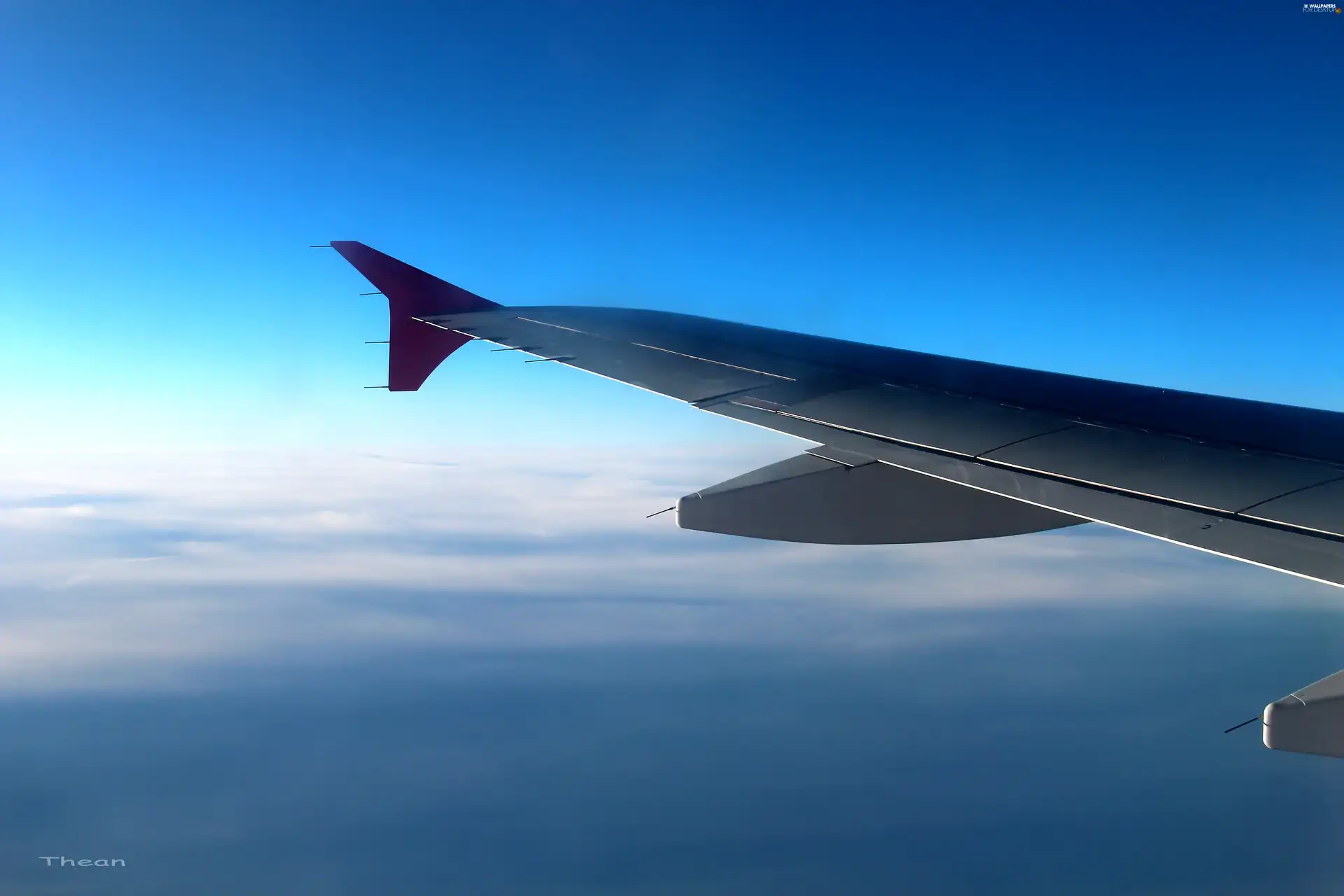 plane, Sky, wing