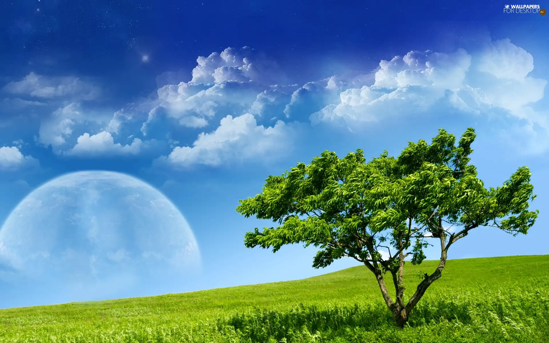 Meadow, clouds, Planet, trees