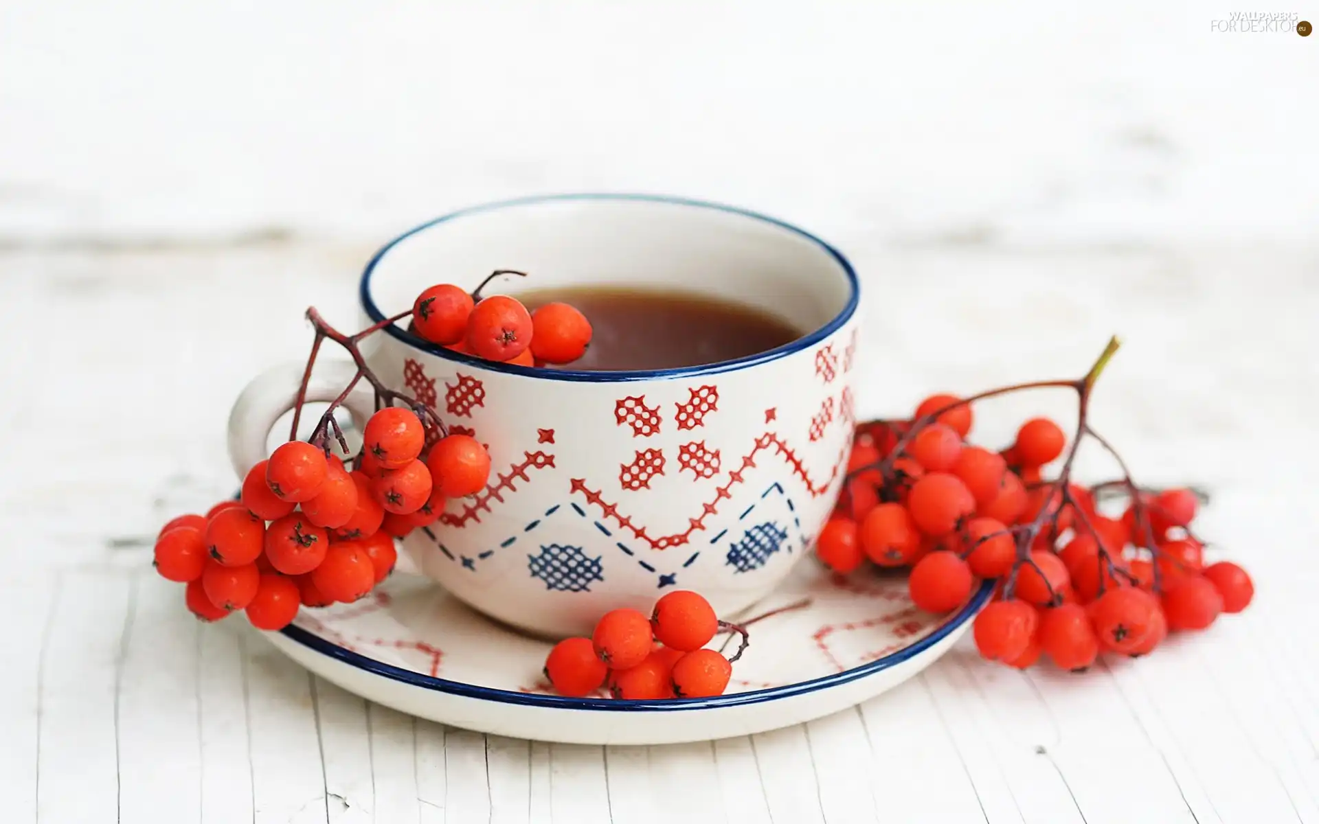 cup, tea, Plant, saucer