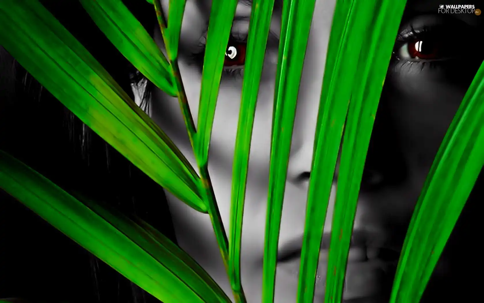 woman, Green, plant, face