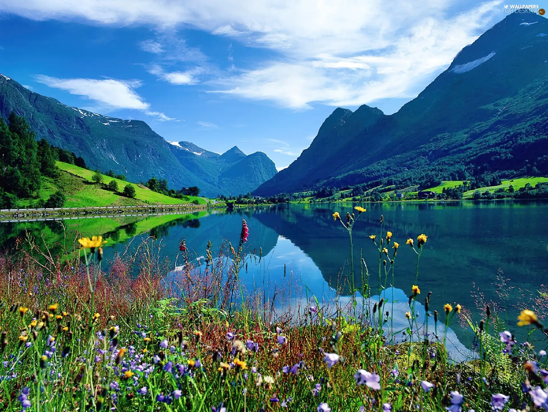 plants, Mountains, lake