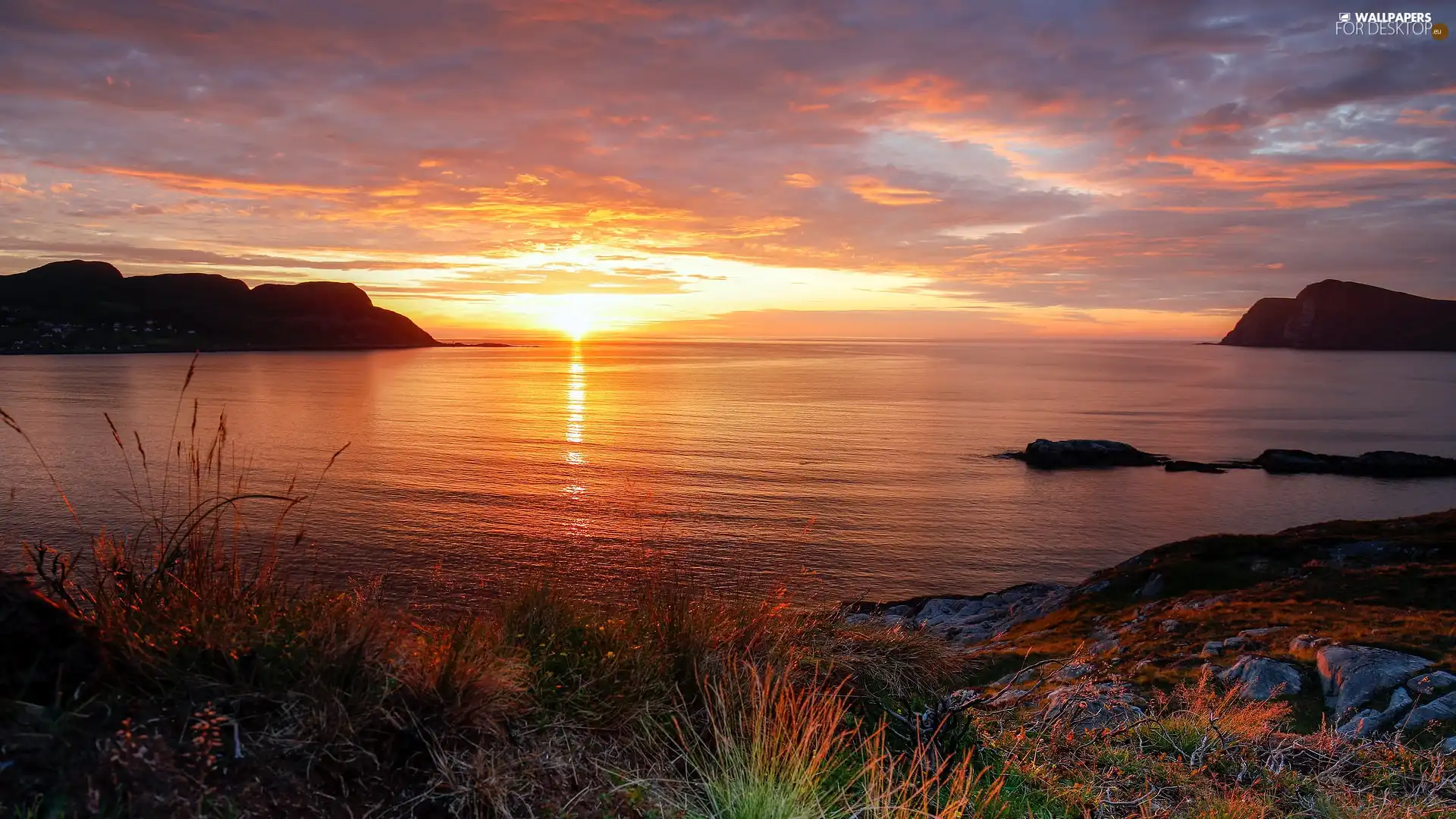 rocks, Plants, sea, Mountains, Sunrise