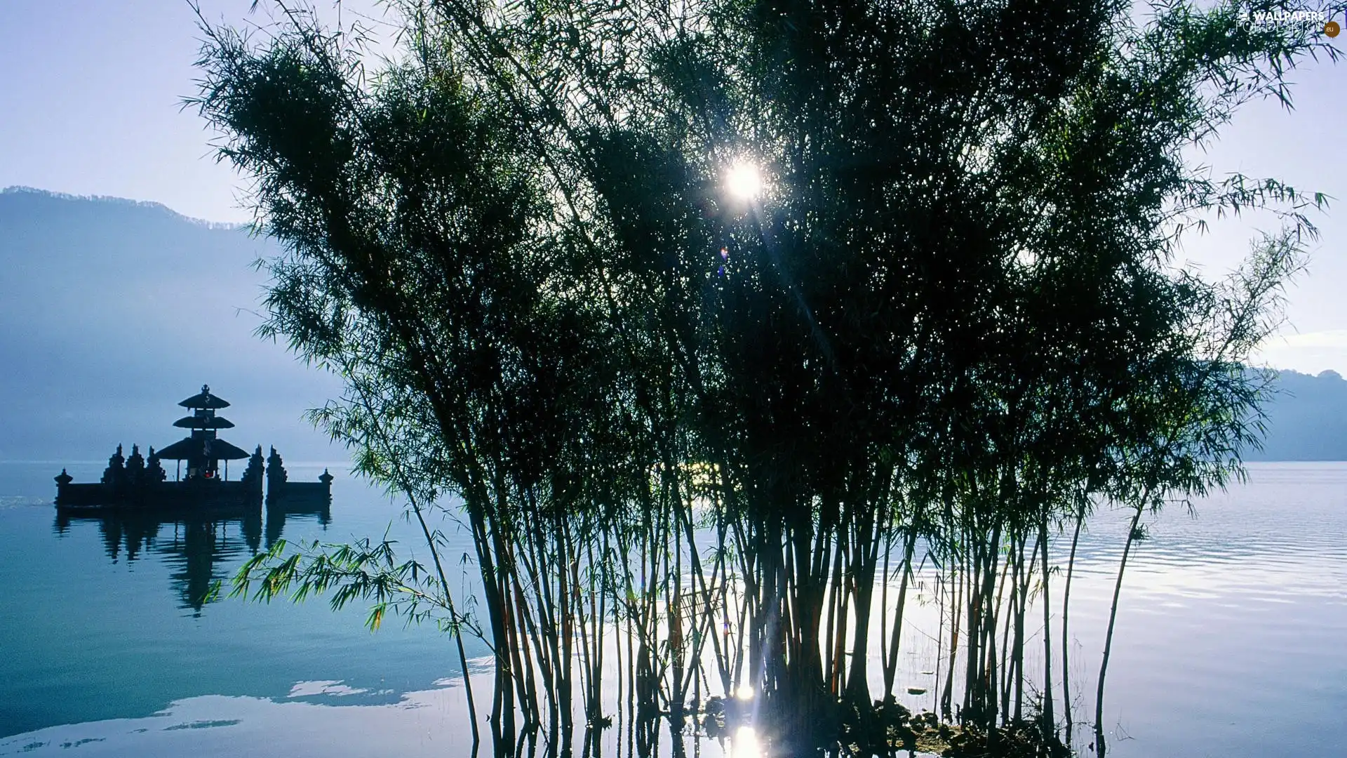 light breaking through sky, lake, Plants