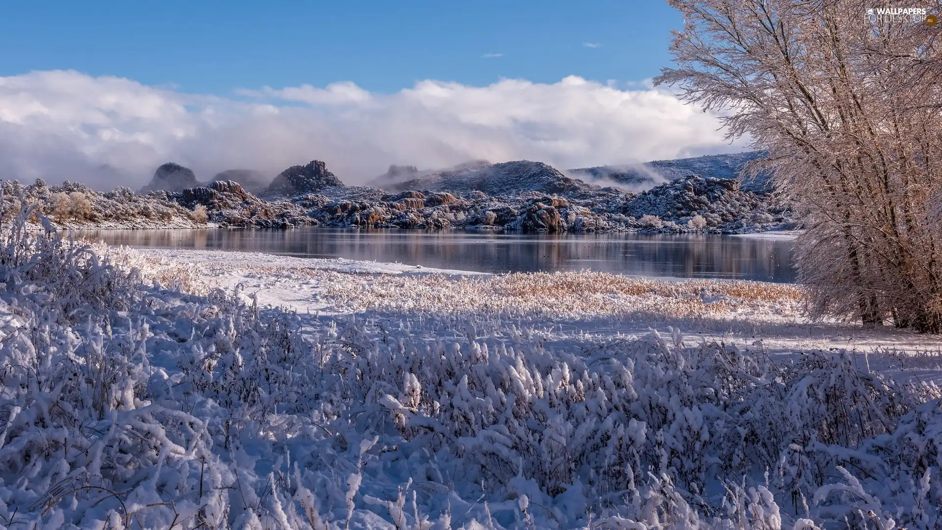 rocks, lake, viewes, Snowy, trees, Mountains, winter, Plants