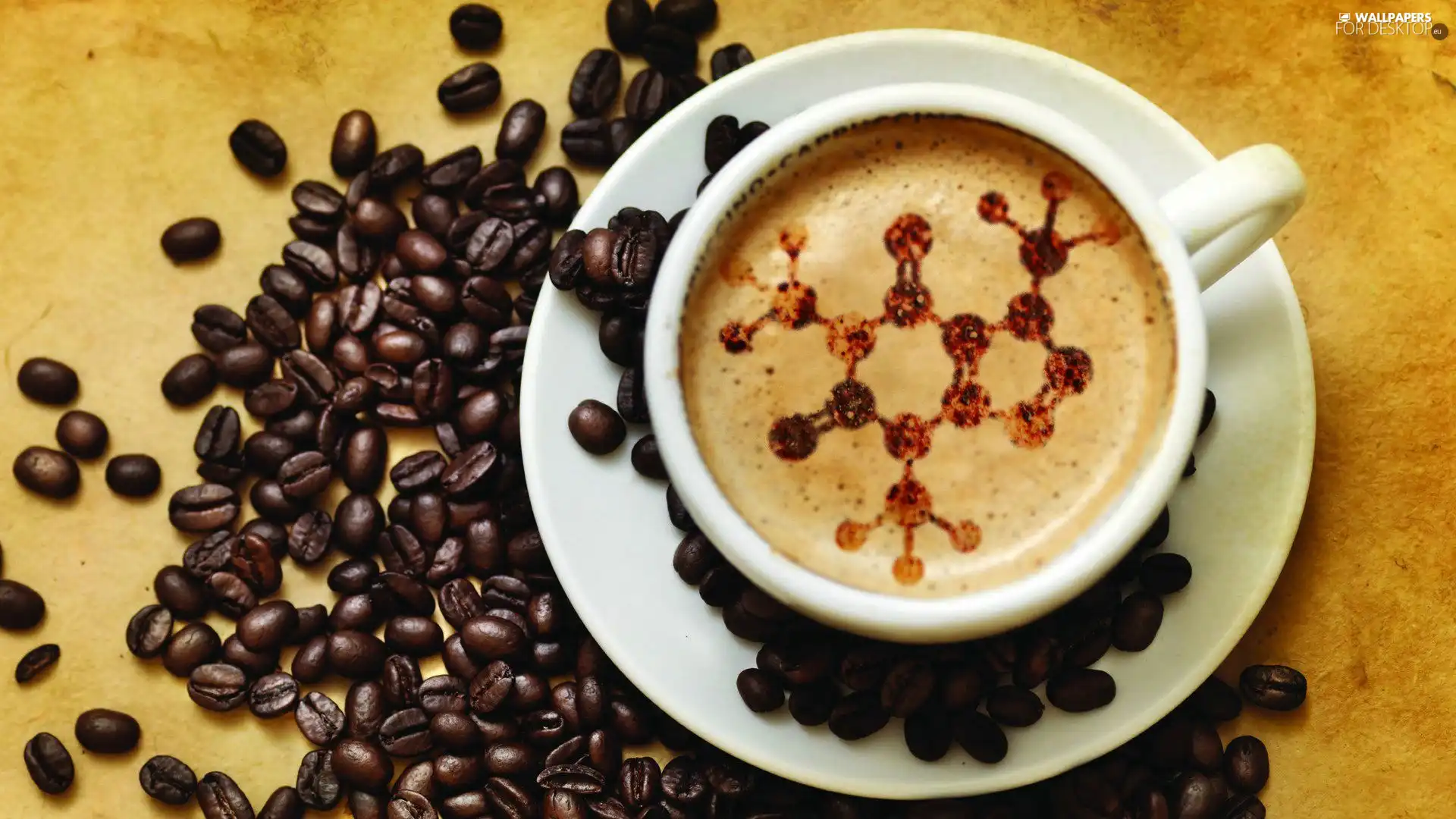 plate, coffee, cup