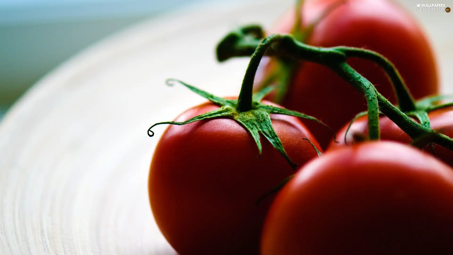 tomatoes, plate