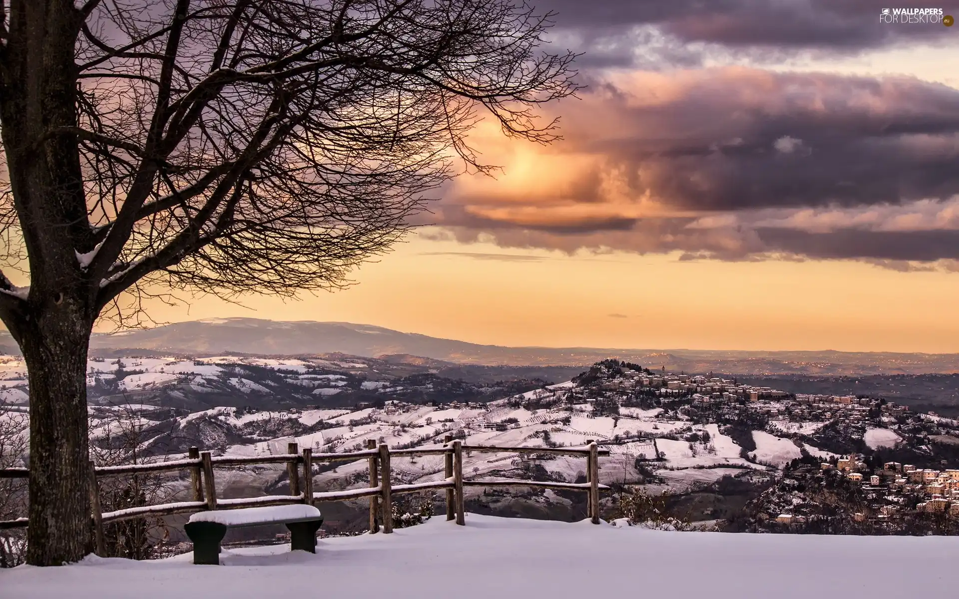 point, landscape, trees, winter, Mountains