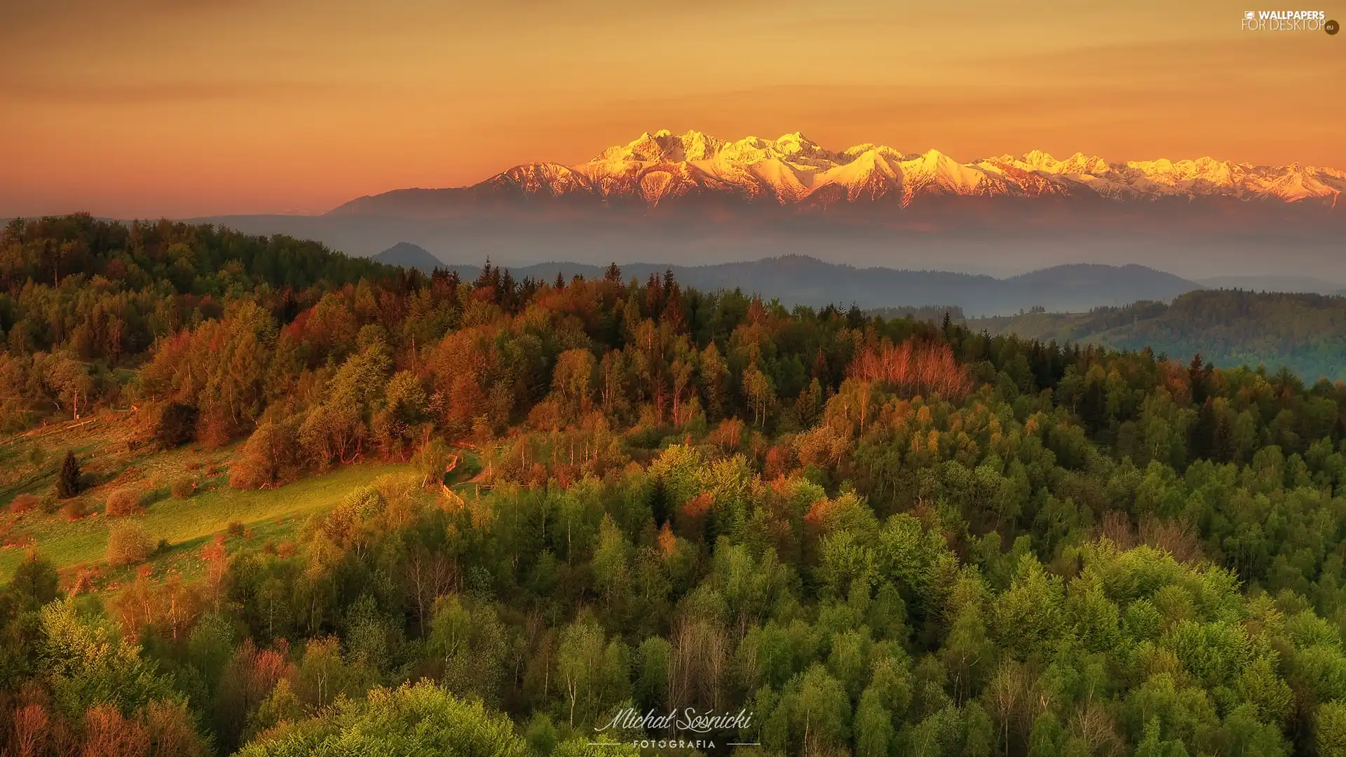 Sunrise, Poland, Mountains, Tatras, forest