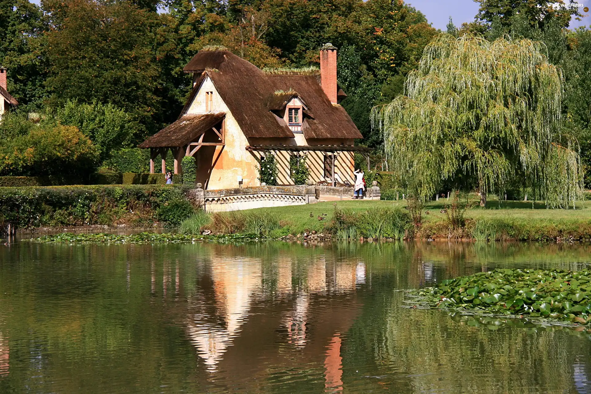 house, viewes, Pond - car, trees