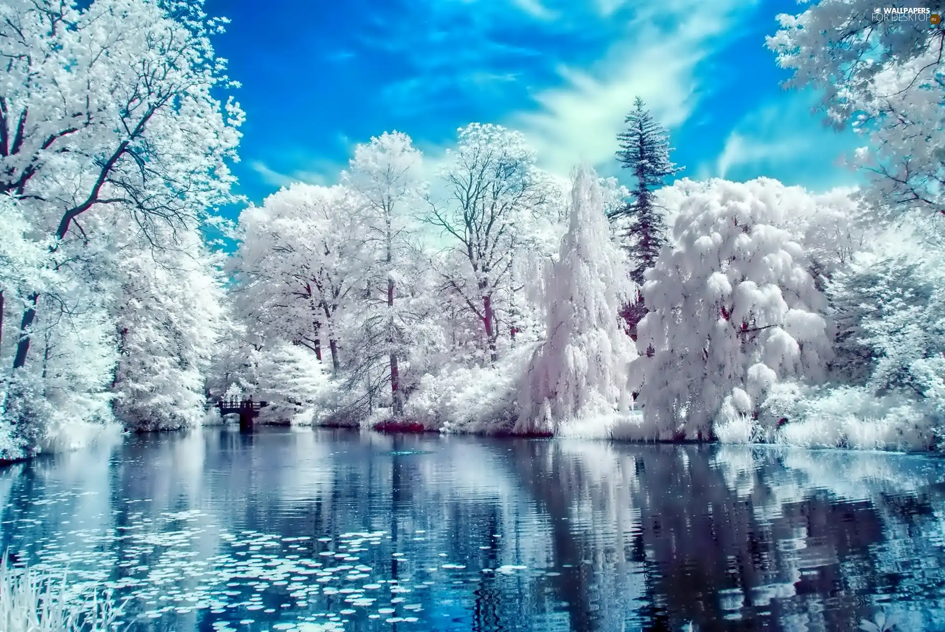 Park, winter, Pond - car