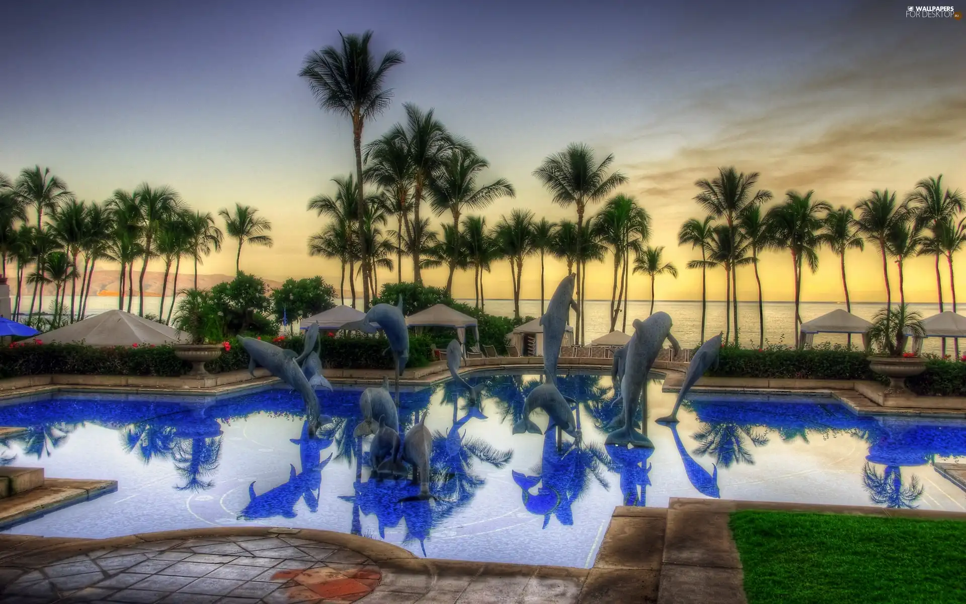 Pool, Palms, dolphins