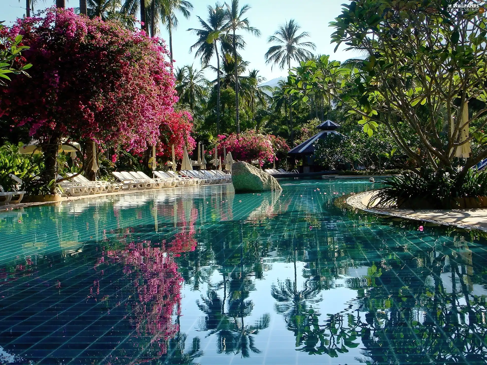 tropic, Hotel hall, Pool