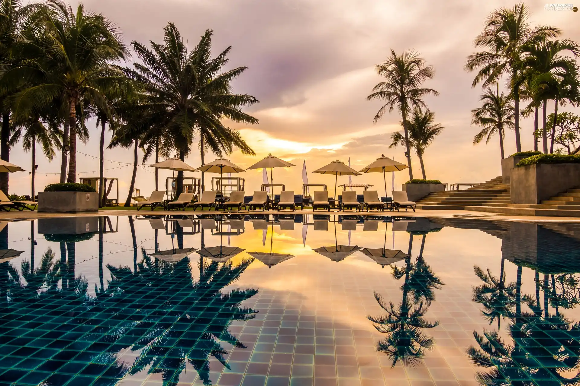 reflection, Palms, Sunshade, Great Sunsets, deck chair, Pool